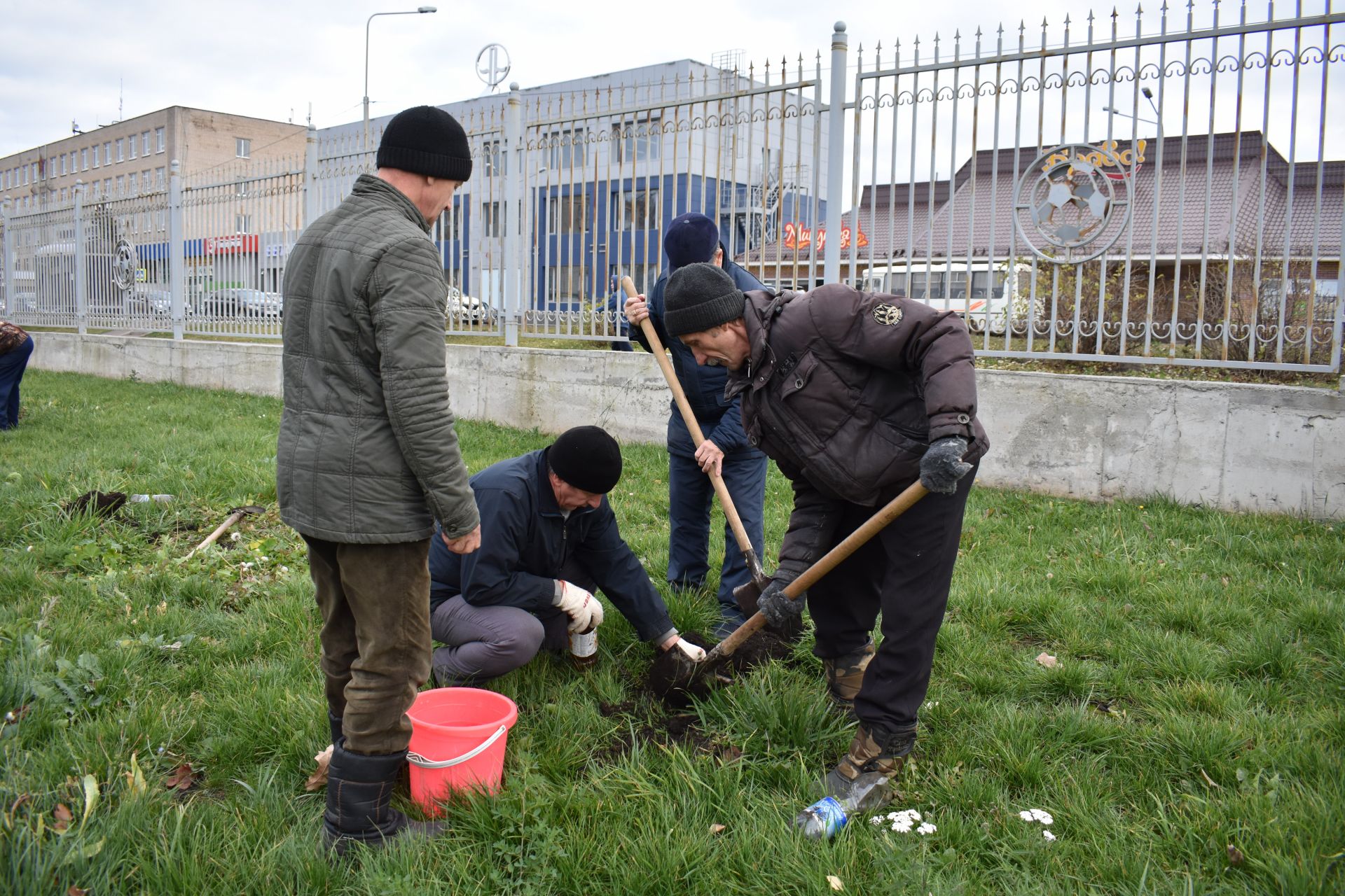 В Чистополе ветераны спорта посадили каштаны (ФОТОРЕПОРТАЖ)