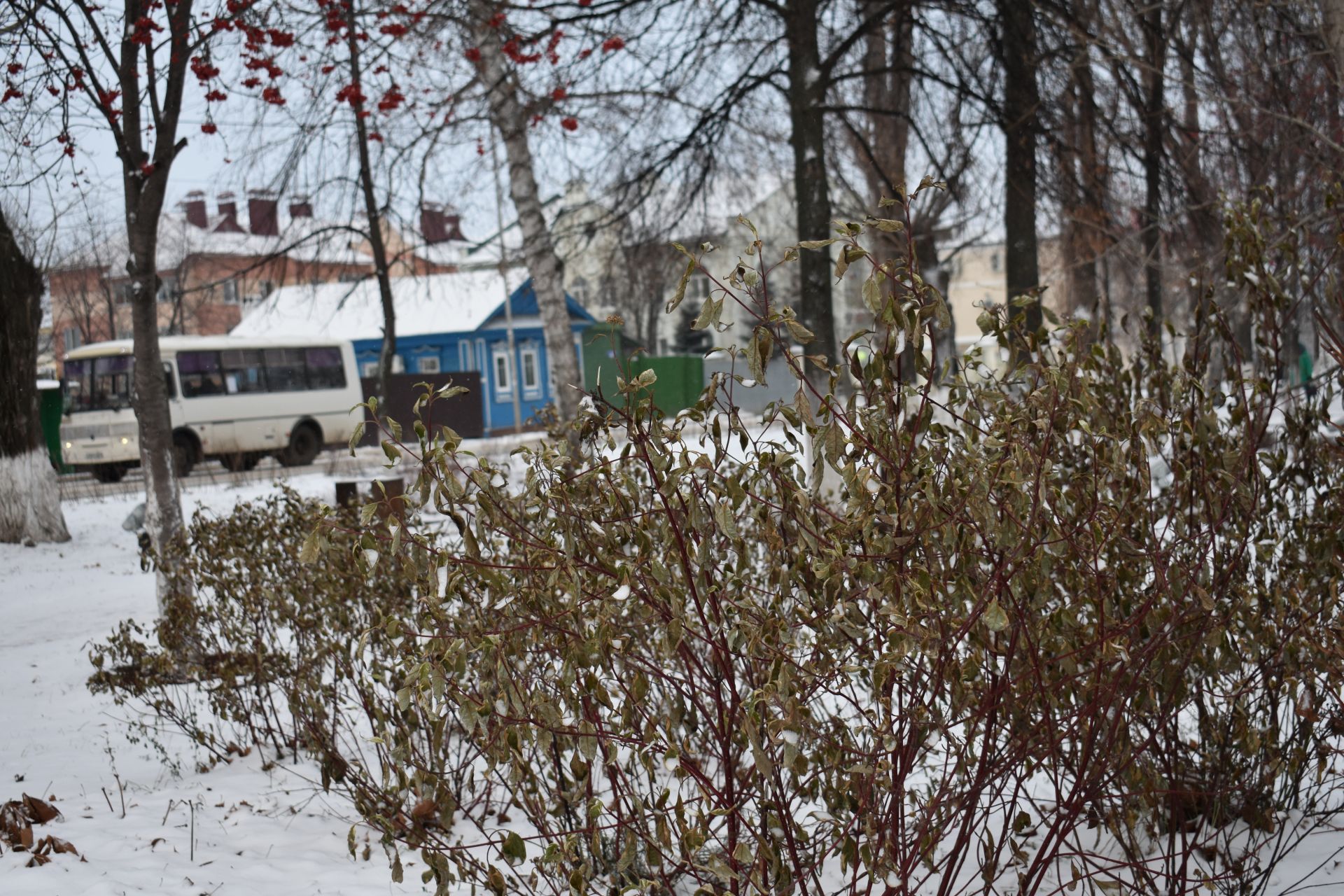 Прекрасное начало зимы в Чистополе (ФОТОРЕПОРТАЖ)