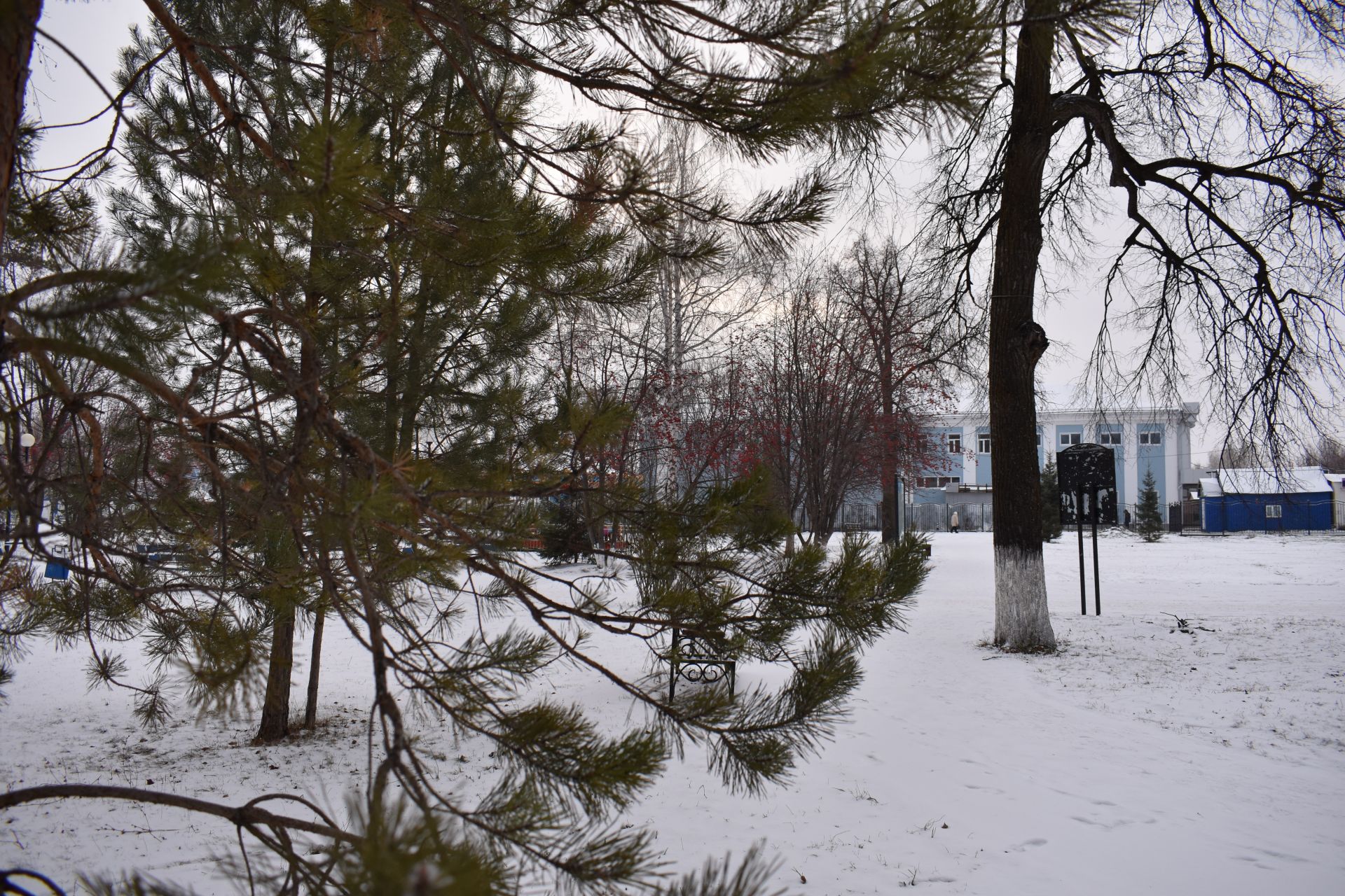 Прекрасное начало зимы в Чистополе (ФОТОРЕПОРТАЖ)