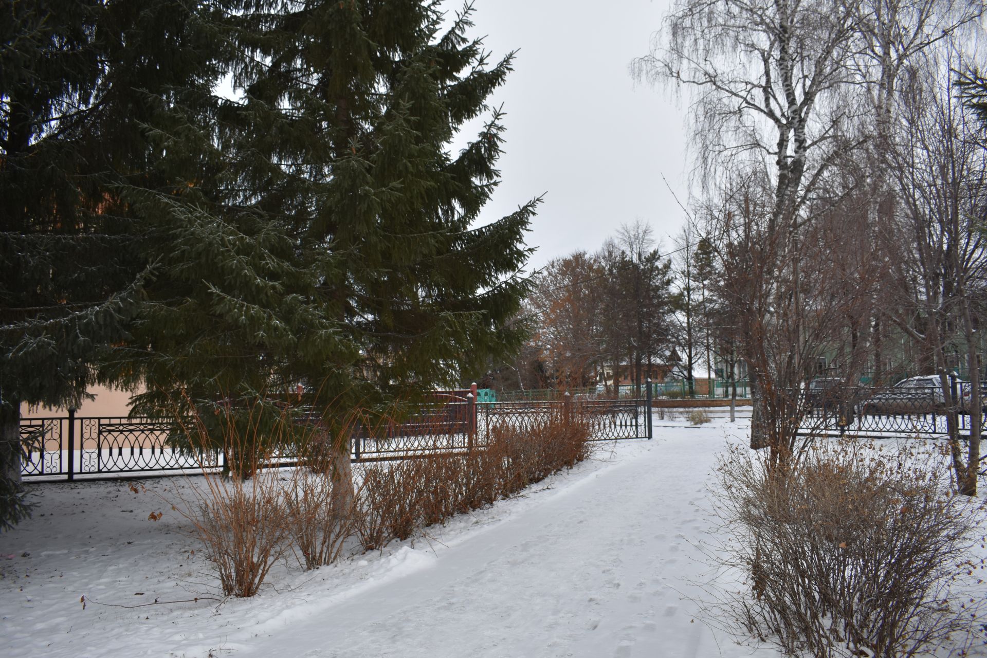 Прекрасное начало зимы в Чистополе (ФОТОРЕПОРТАЖ)