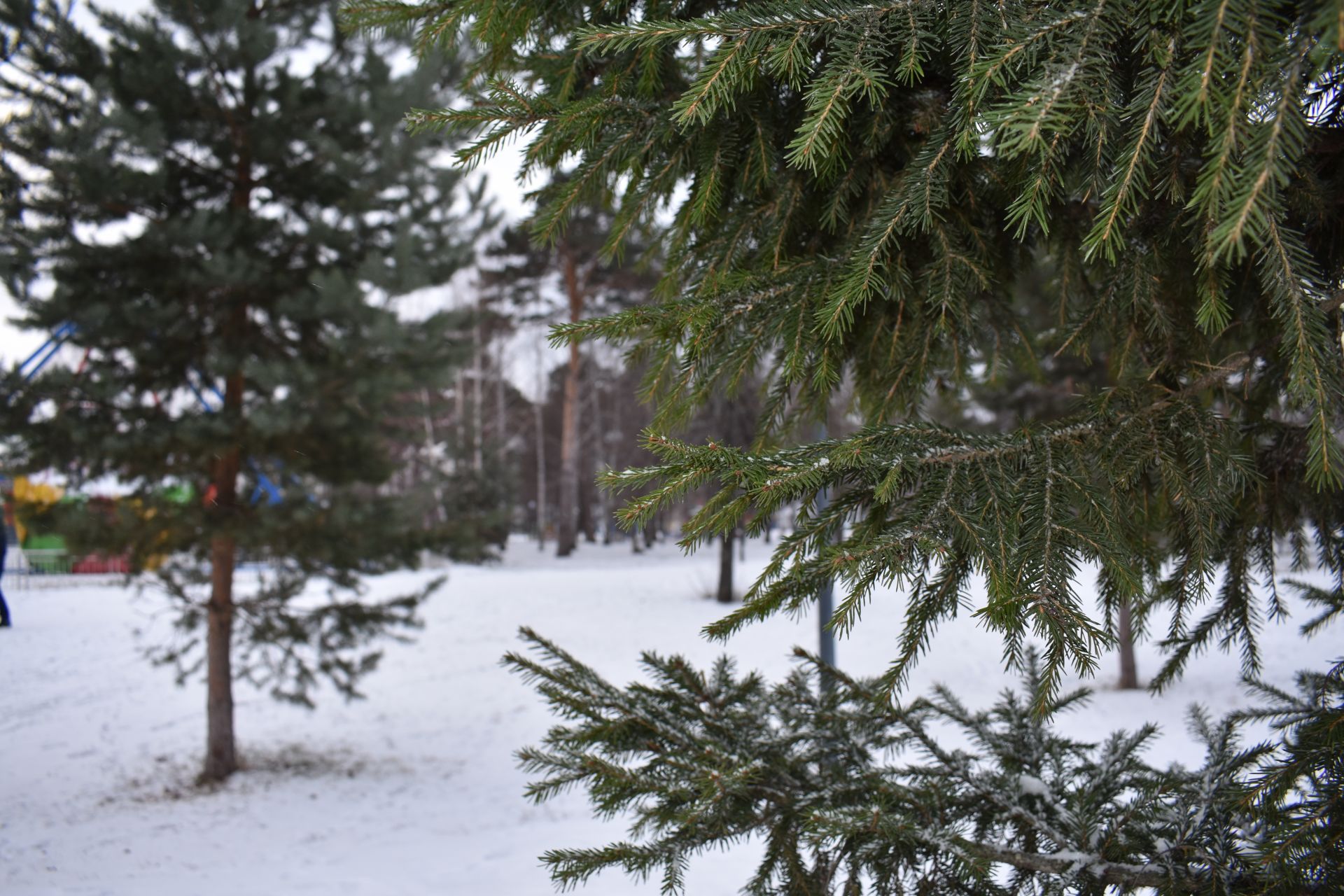 Прекрасное начало зимы в Чистополе (ФОТОРЕПОРТАЖ)