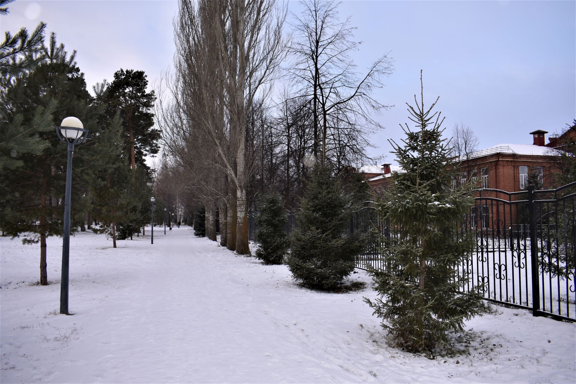 Прекрасное начало зимы в Чистополе (ФОТОРЕПОРТАЖ)