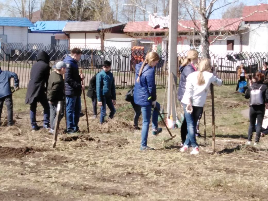 Чистопольцы хотят построить сквер на пустыре в районе автовокзала