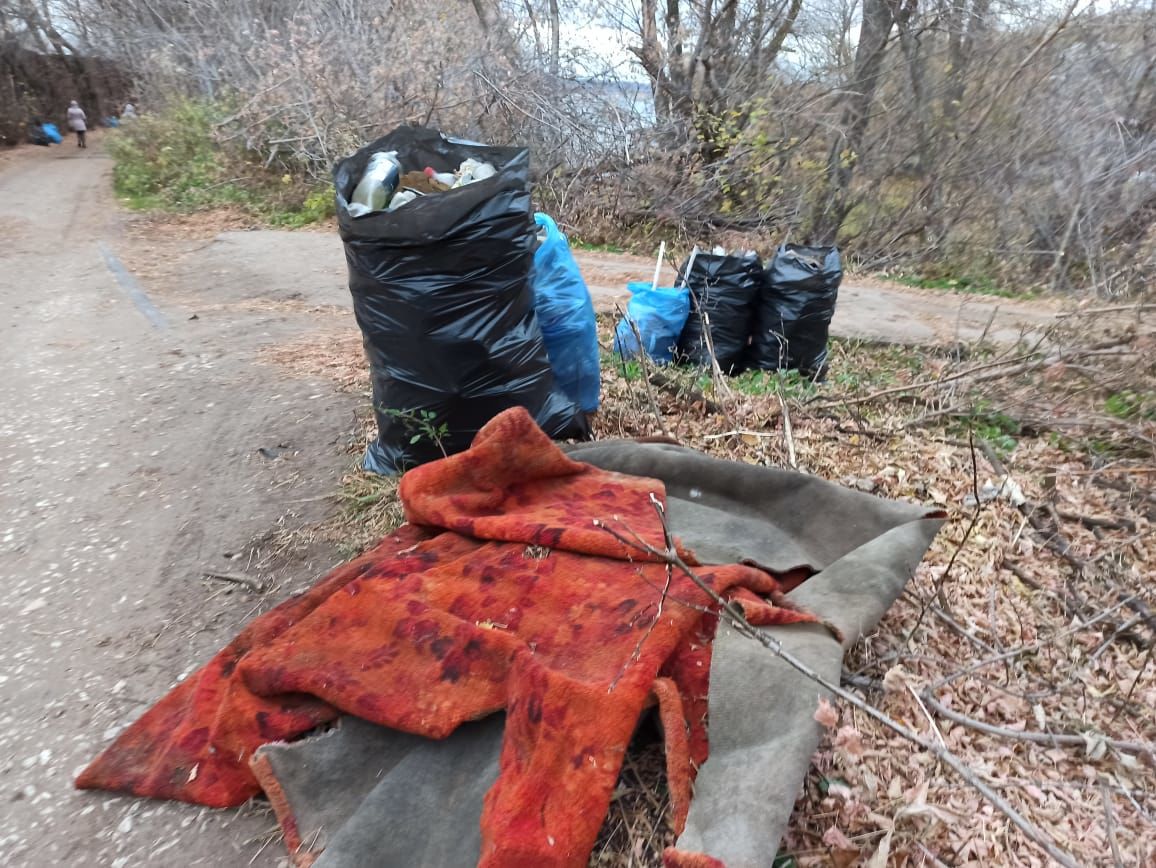 Полсотни чистопольцев вышли на очистку водоохранных зон