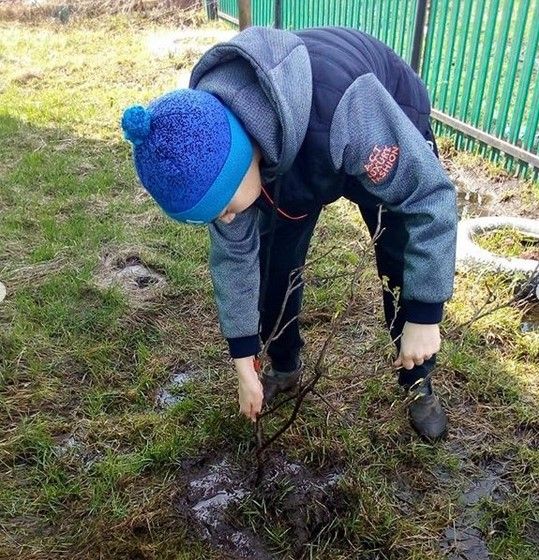 Жители Чистопольского района присоединились к акции "Сад памяти"