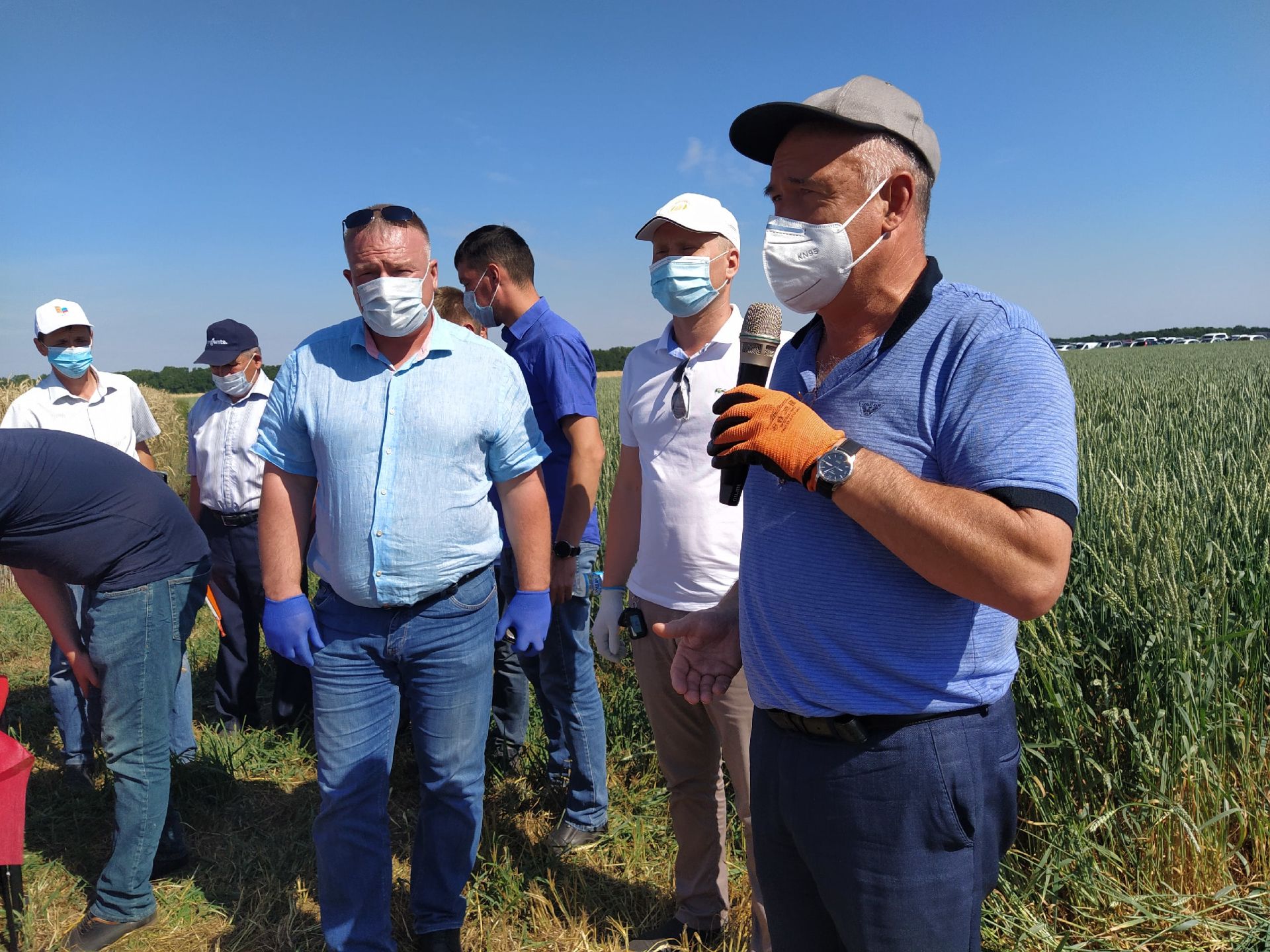 В Чистопольском районе презентовали новые сорта сельхозкультур