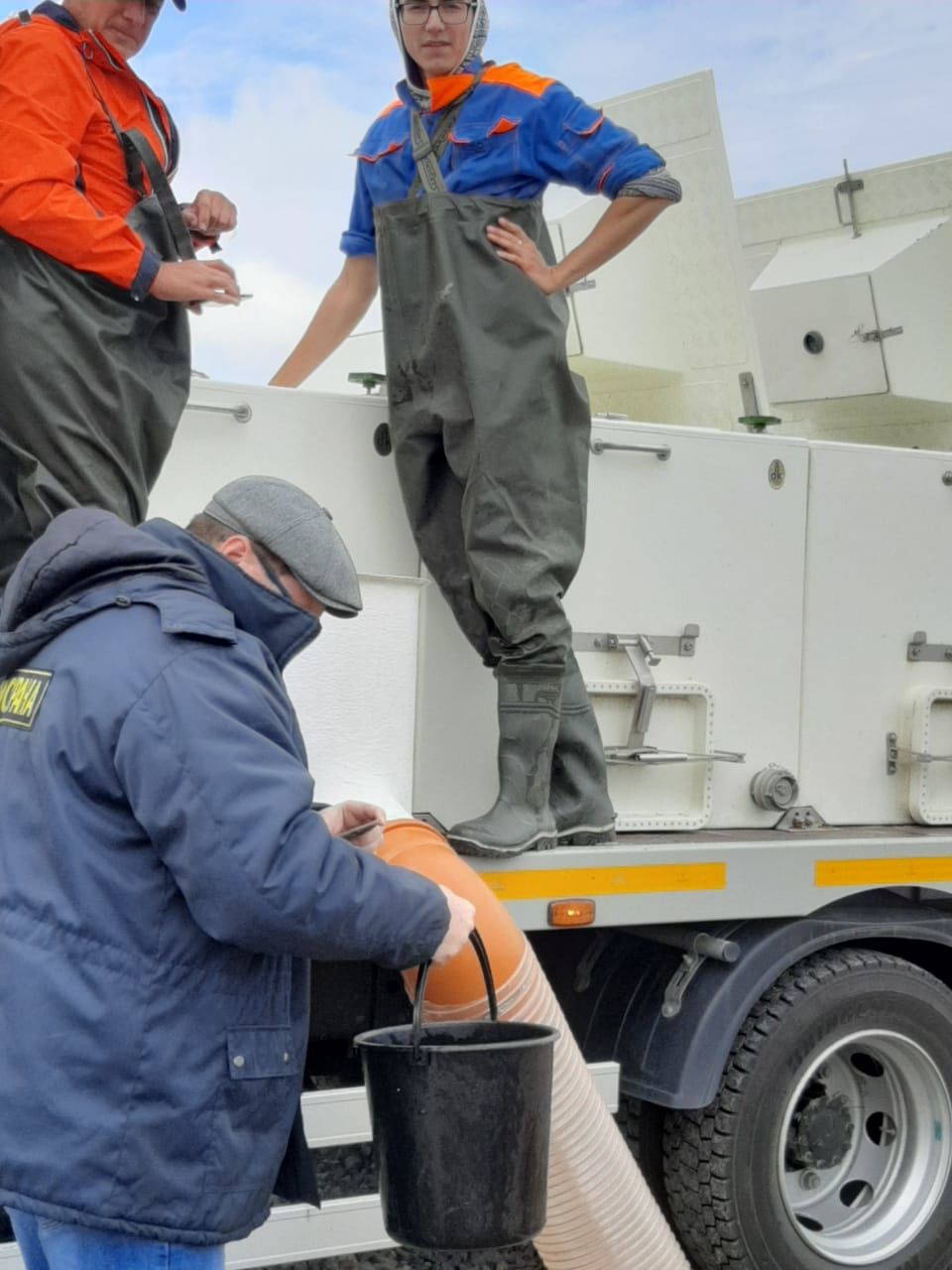 В Чистополе на Каму выпустили мальков стерляди