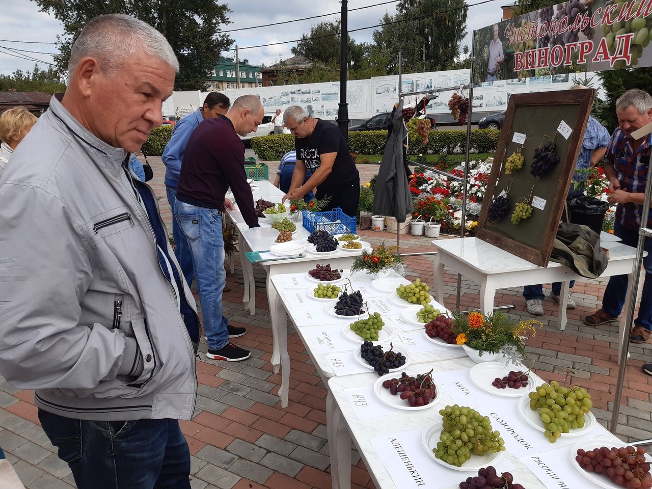 В День города чистопольцев угощали виноградом