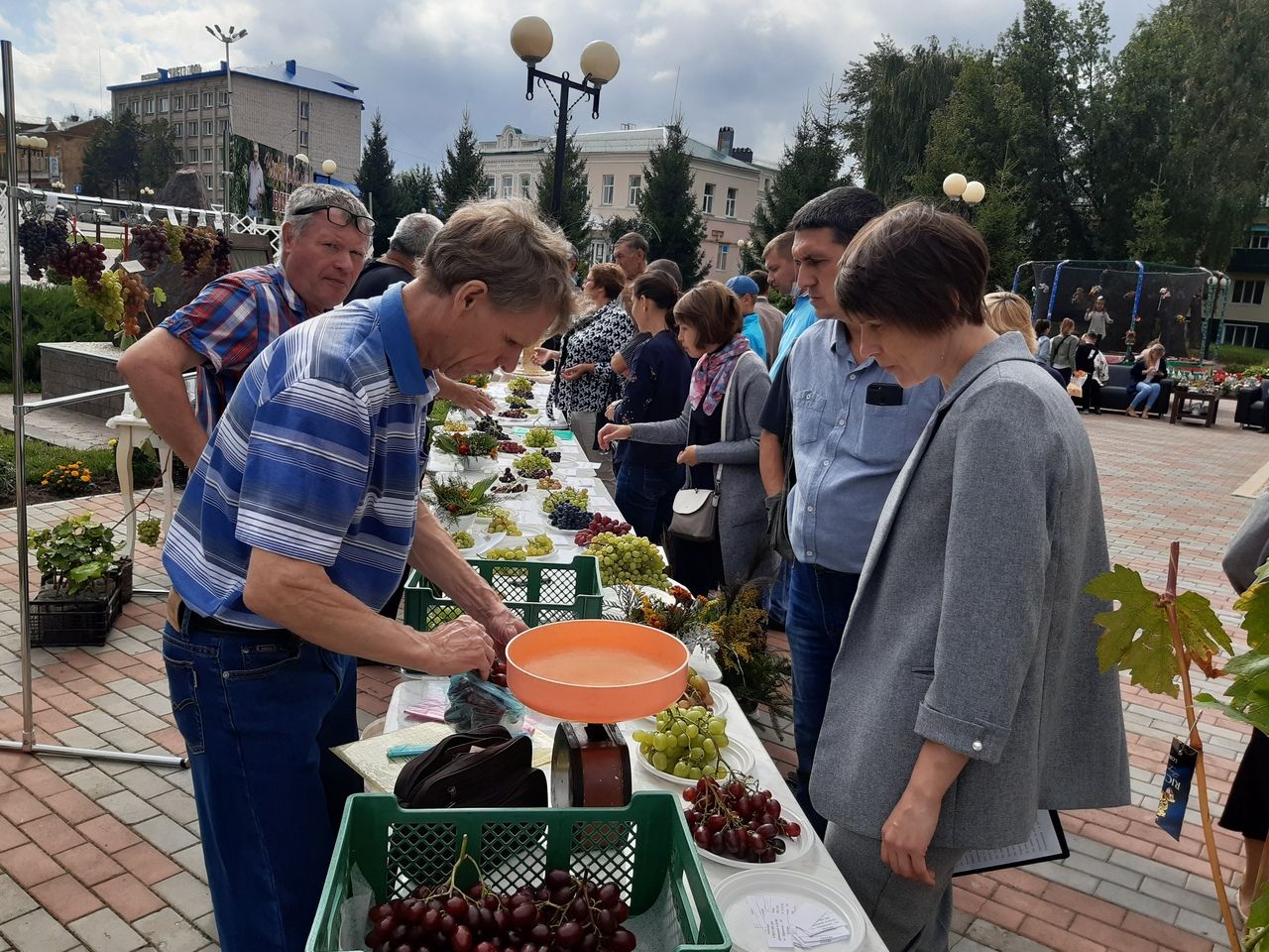 В День города чистопольцев угощали виноградом