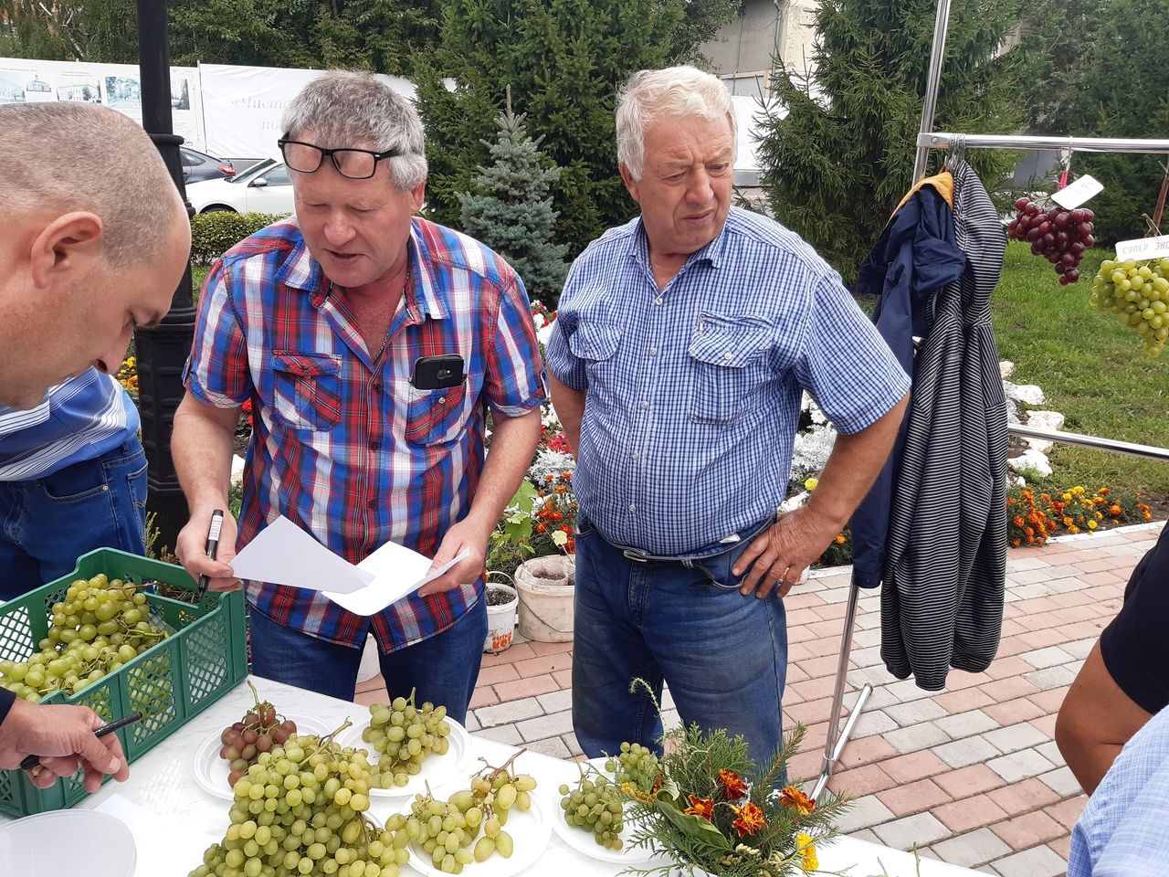 В День города чистопольцев угощали виноградом