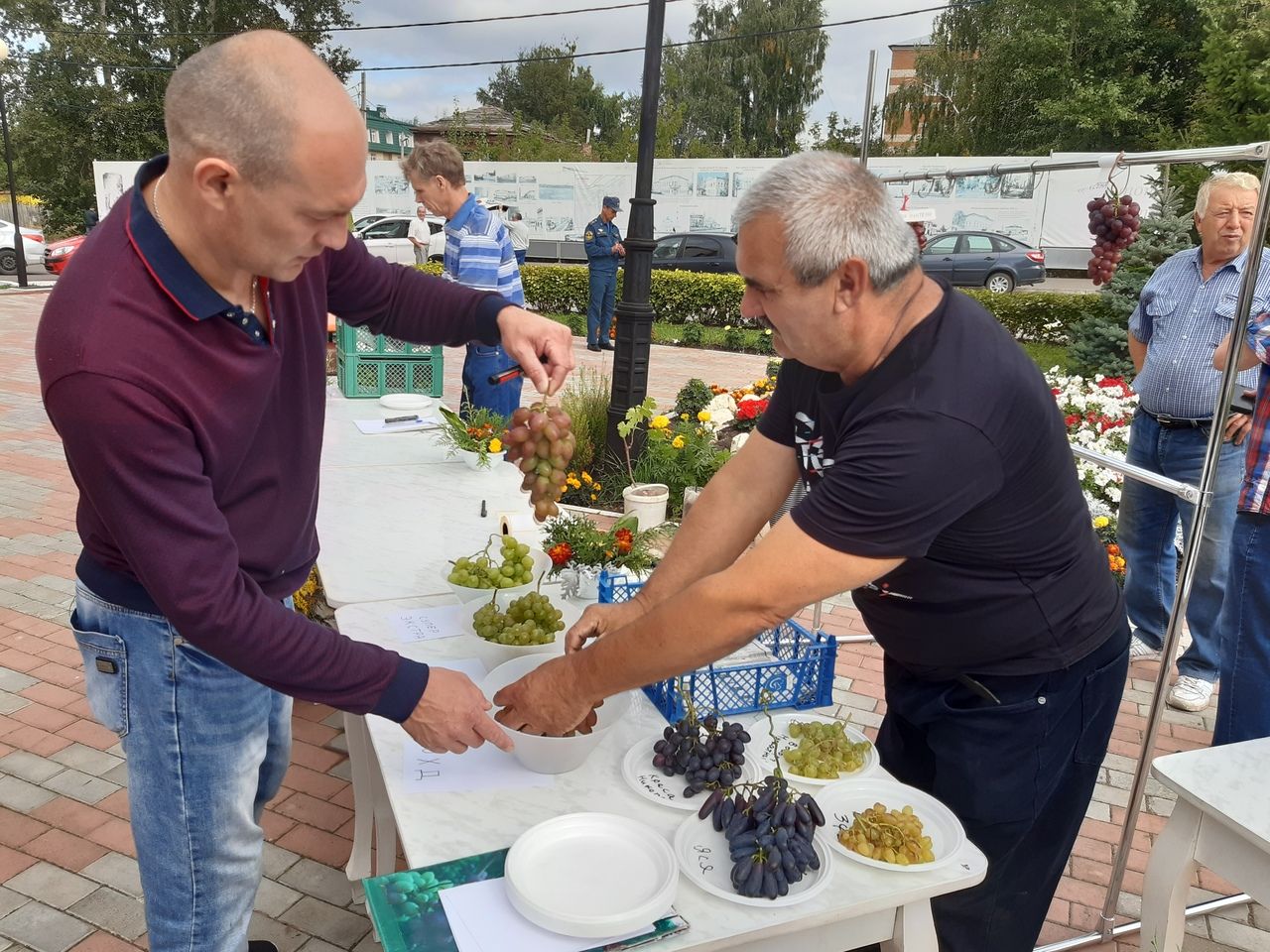 В День города чистопольцев угощали виноградом