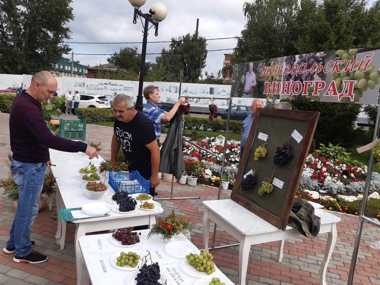 В День города чистопольцев угощали виноградом