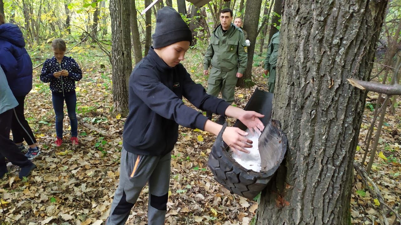 Школьники Чистопольского района  подкормили в лесу косуль, зайцев и лосей