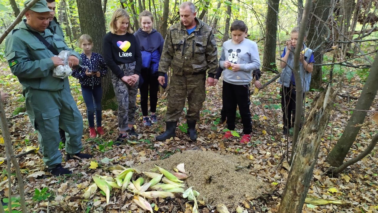 Школьники Чистопольского района  подкормили в лесу косуль, зайцев и лосей