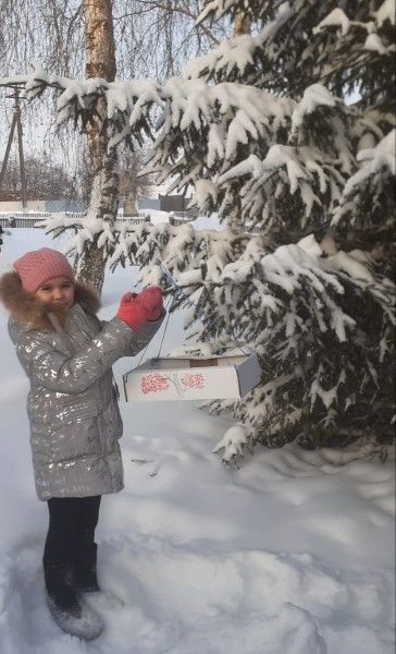 Дети из чистопольского села смастерили кормушки для птиц