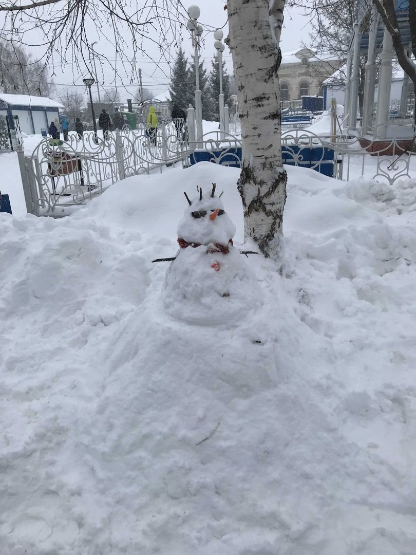 Чистопольцы от души повеселились на Фестивале снеговиков (фоторепортаж)