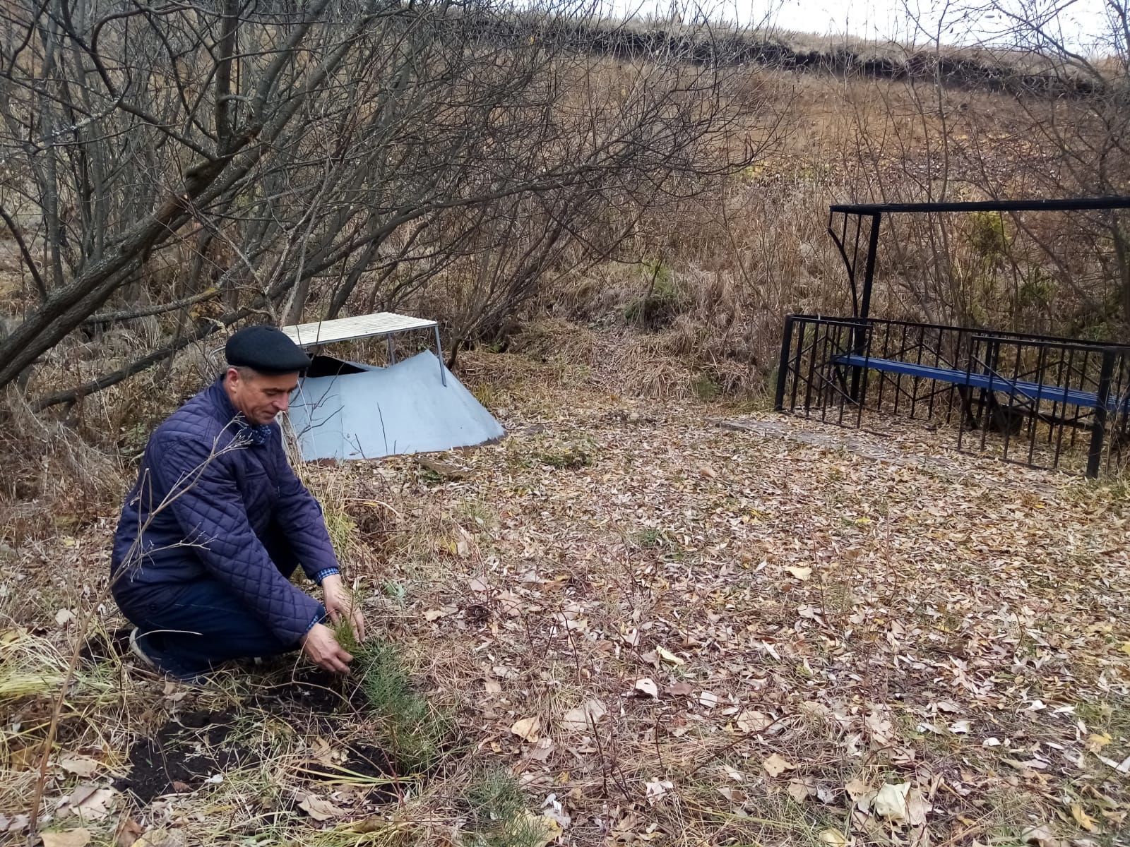 На территории родника в одном из сел Чистопольского района посадили деревья