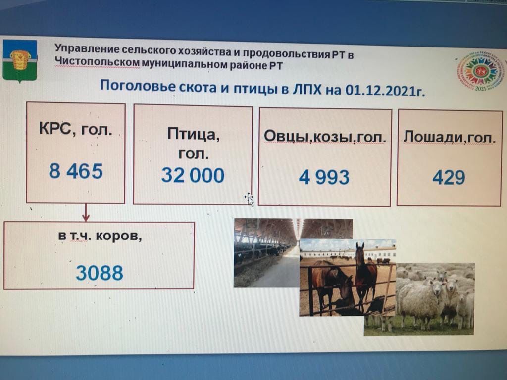 Главный врач Чистопольской ЦРБ: «Во временном инфекционном госпитале находится 25 чистопольцев»