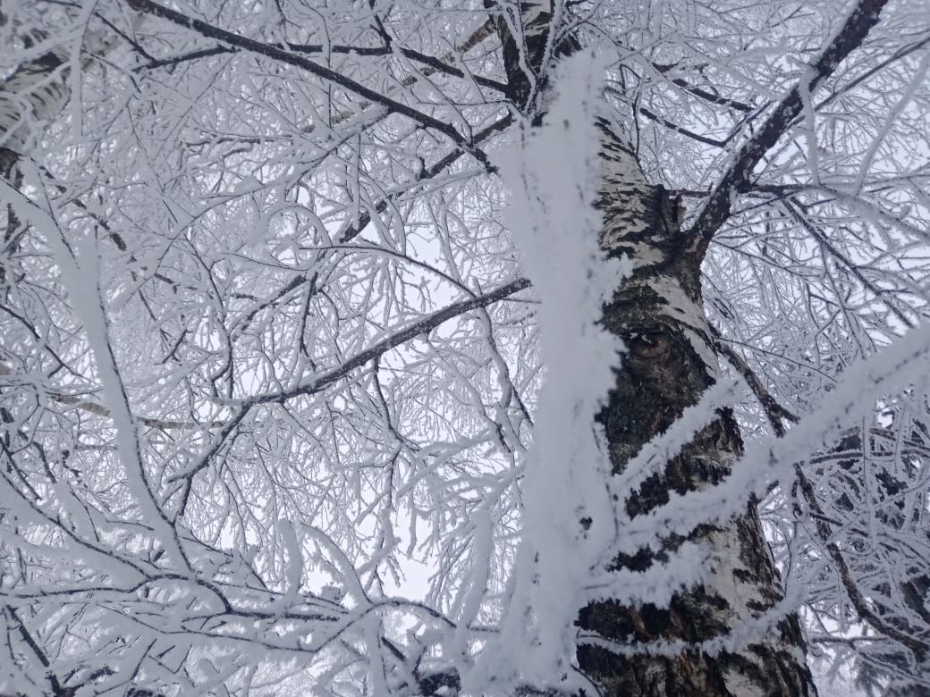 В Чистополе – сказочно красиво (фоторепортаж)