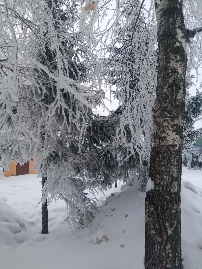 В Чистополе – сказочно красиво (фоторепортаж)