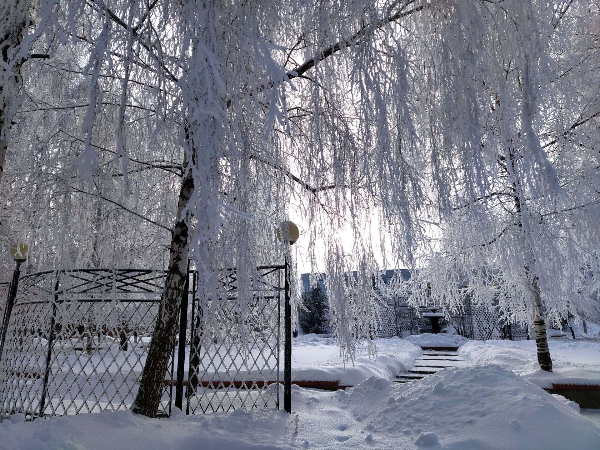 В Чистополе – сказочно красиво (фоторепортаж)