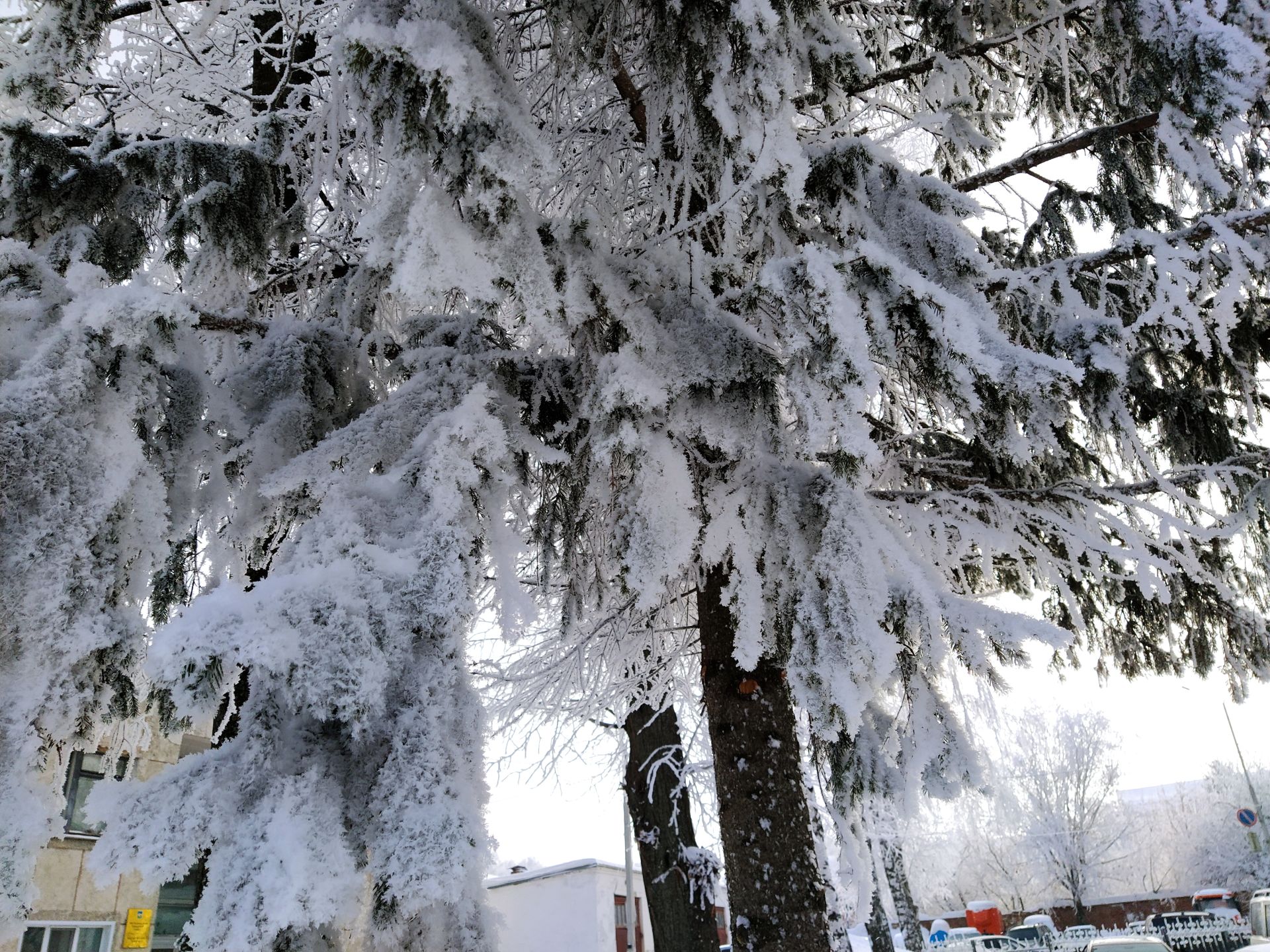 В Чистополе – сказочно красиво (фоторепортаж)