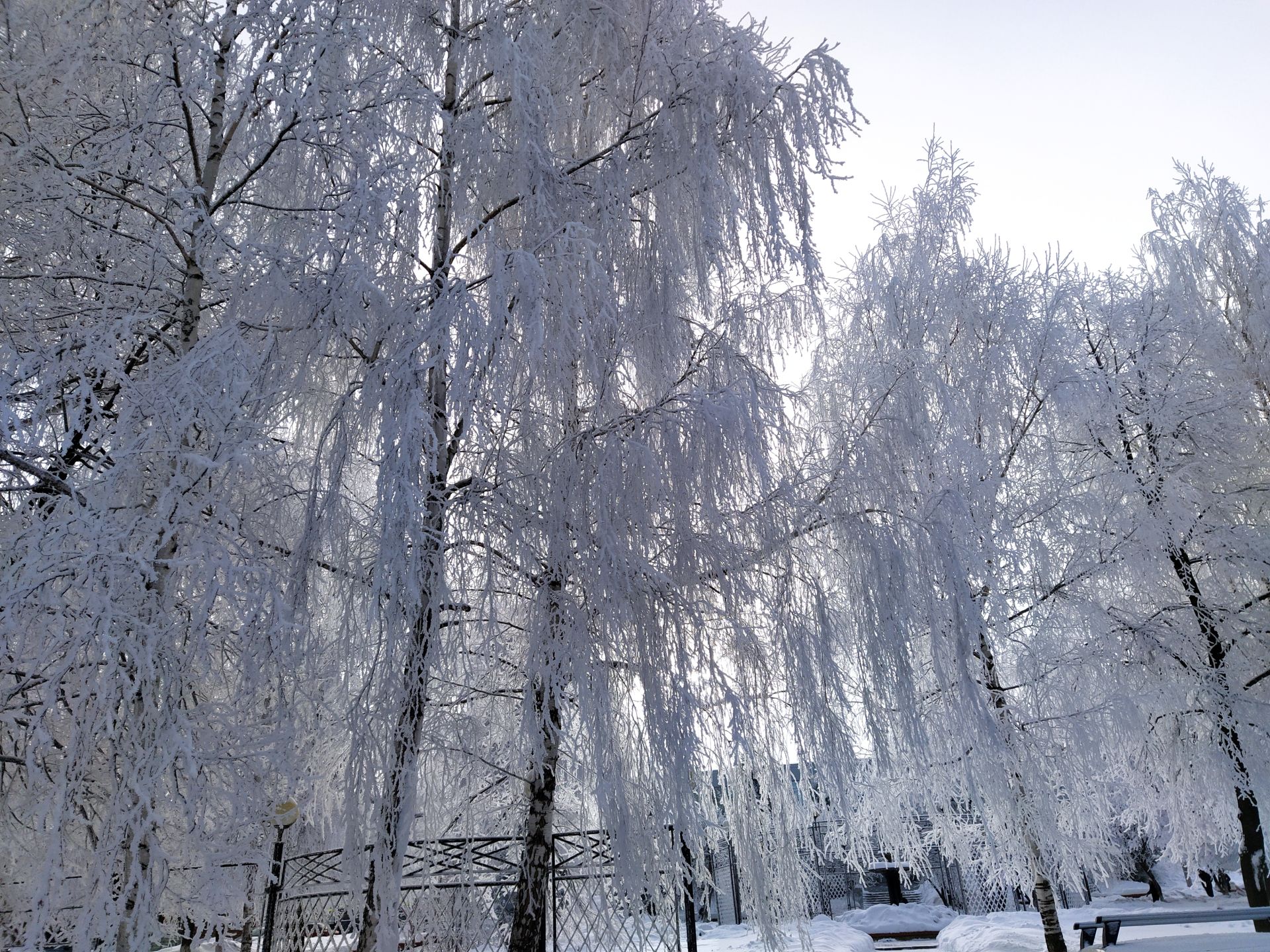 В Чистополе – сказочно красиво (фоторепортаж)