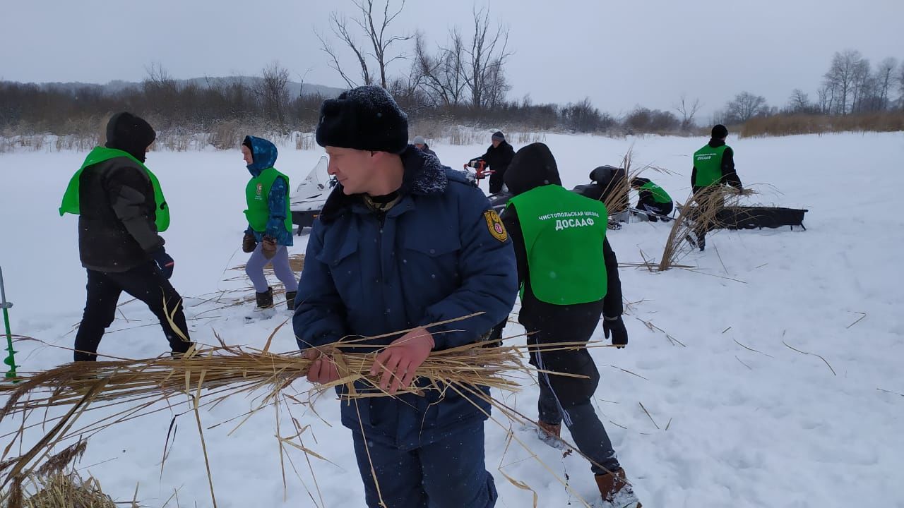 В Чистополе провели операцию по спасению рыбы