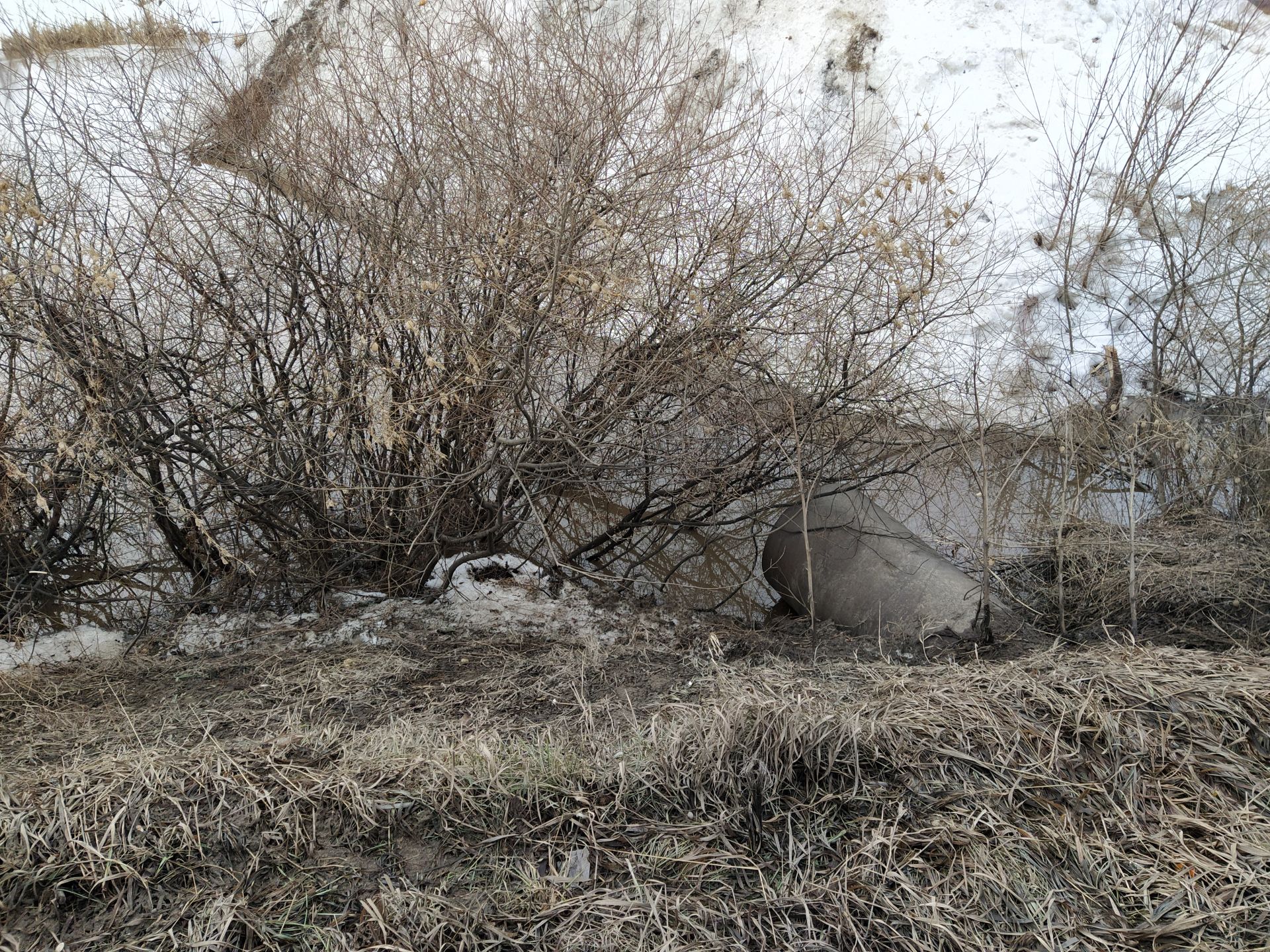 В Чистополе ситуация с подтоплением домов на улице Хамзина повторяется