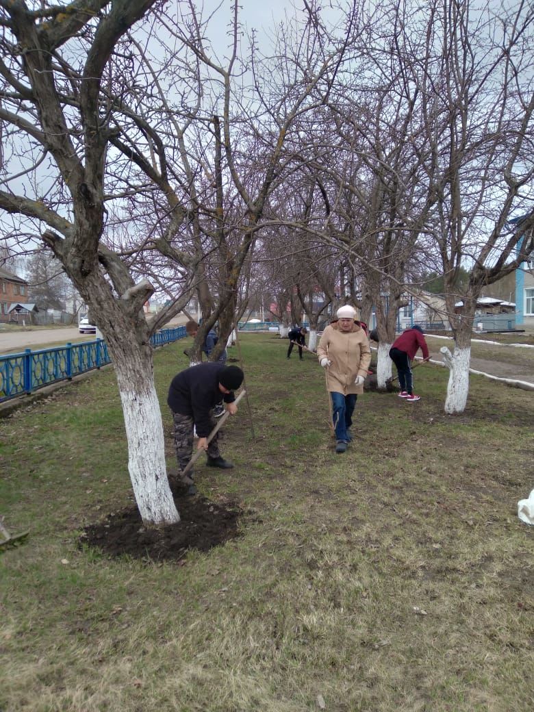 Школьники Чистопольского района присоединились к республиканской акции «Чистые леса»