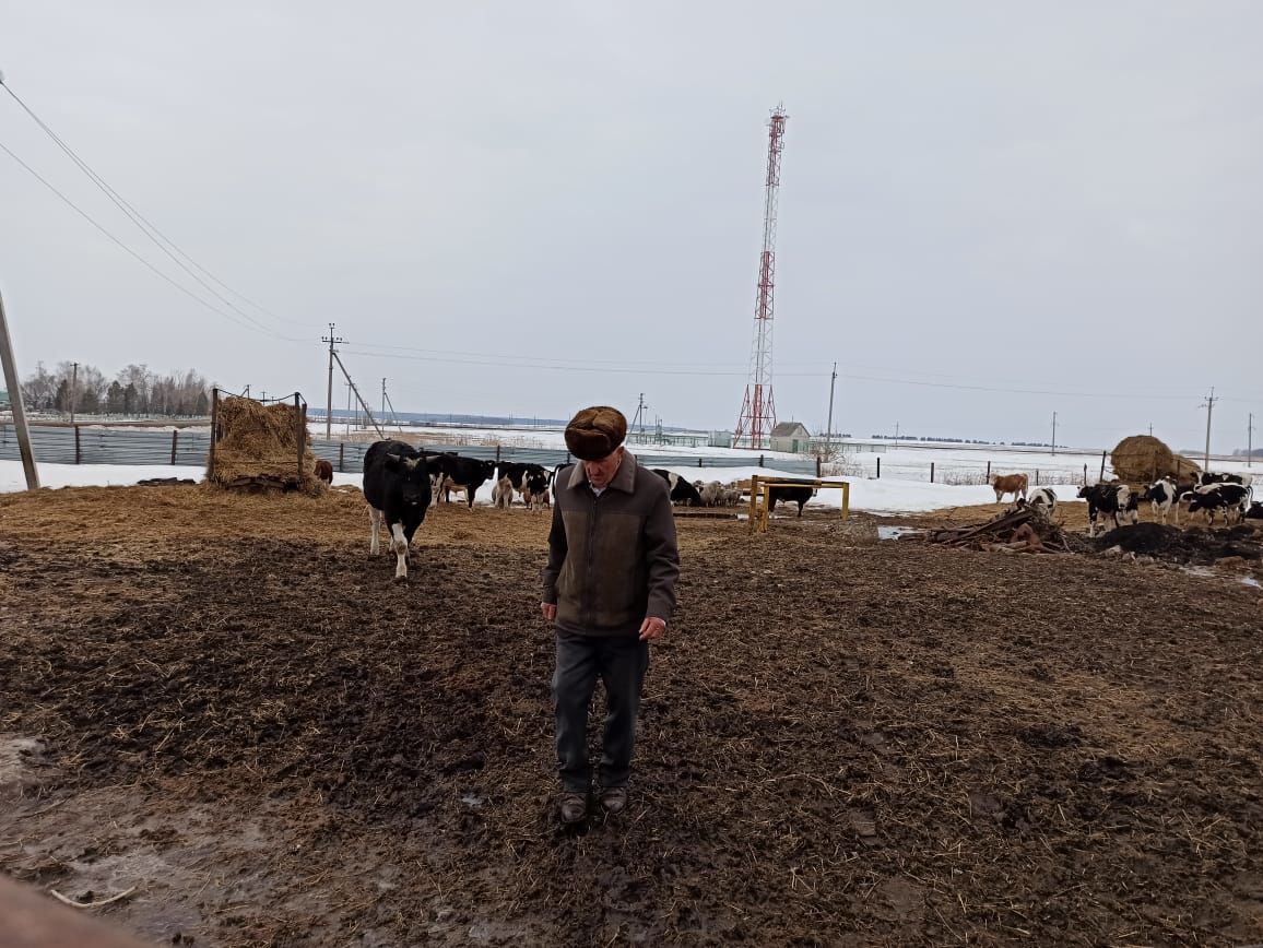 Жителю Чистопольского района вручили Благодарственное письмо Минсельхозпрода РТ