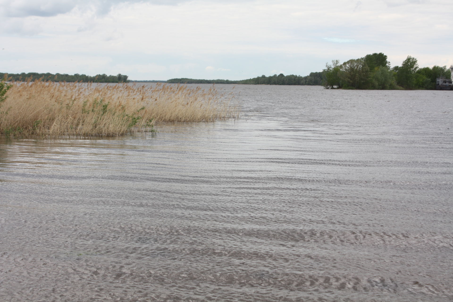 Водолазы очистили от мусора дно Камы городского пляжа Чистополя