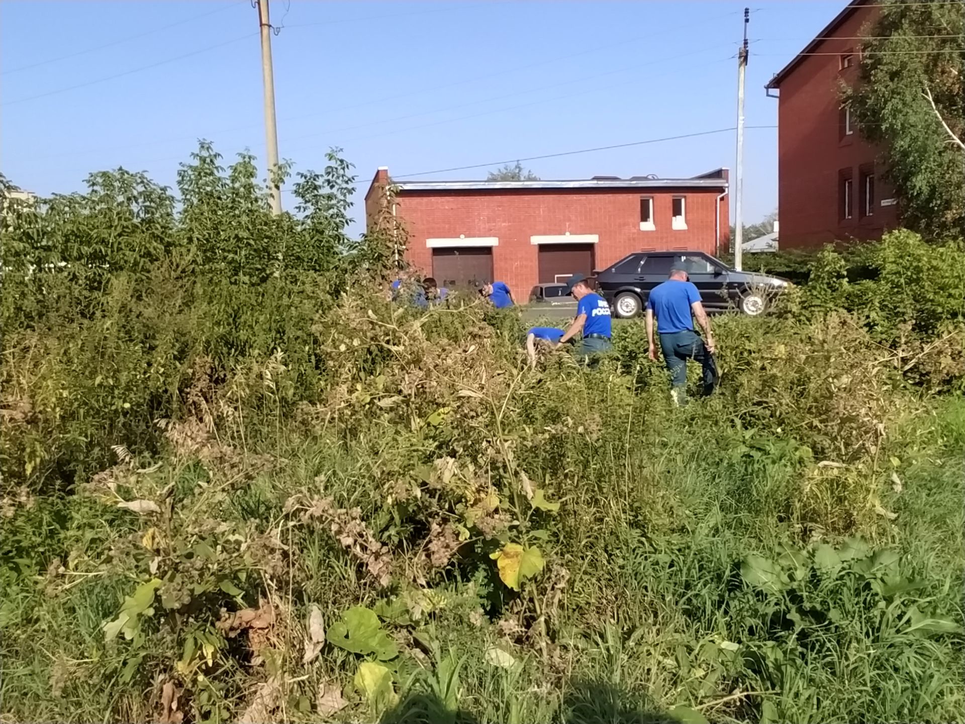 В Чистополе привели в порядок территорию рядом с Авдеевским кладбищем