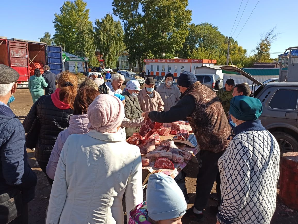 В Чистополе состоялись первые в этом году осенние сельскохозяйственные ярмарки (фоторепортаж)