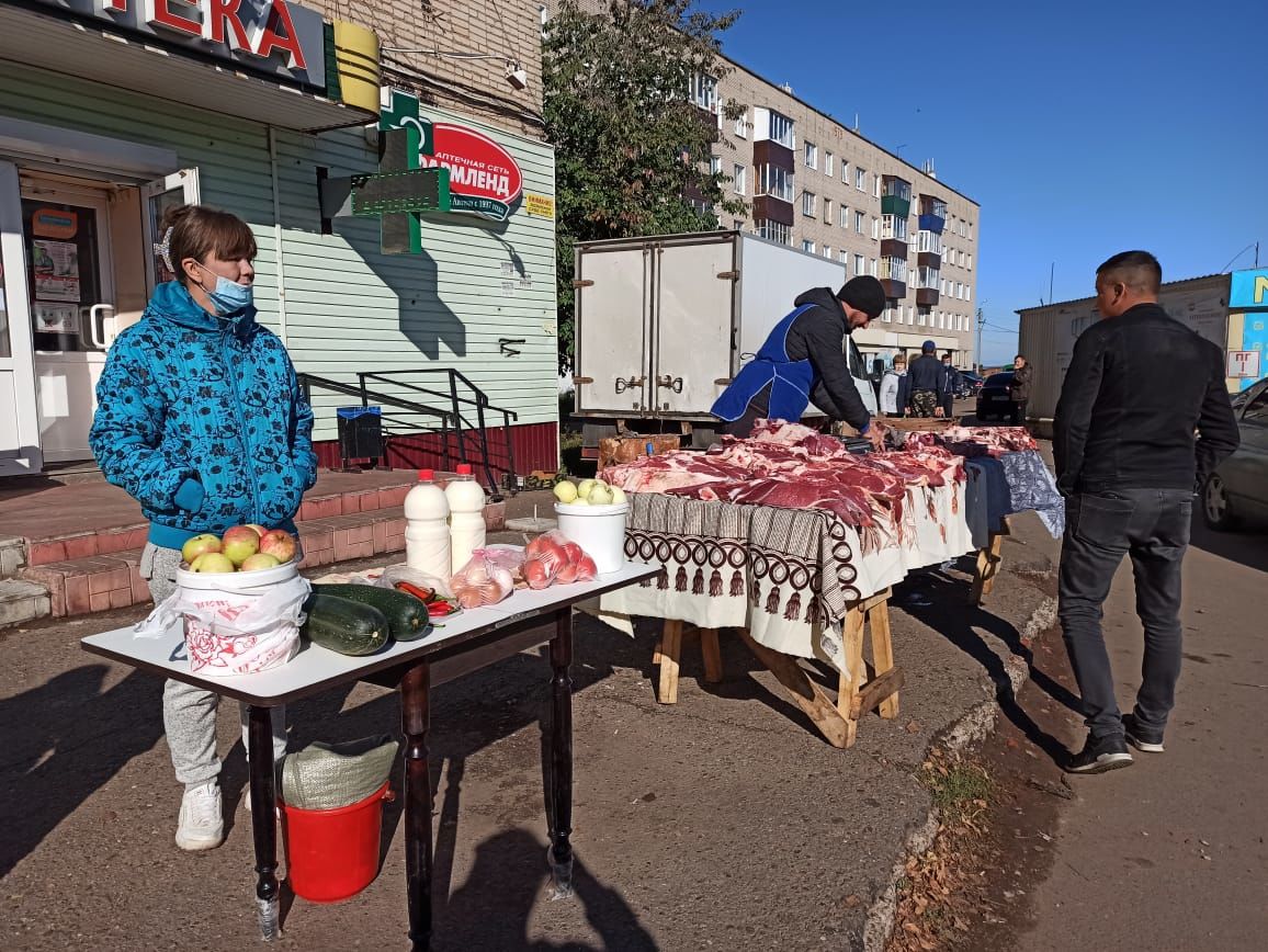 В Чистополе состоялись первые в этом году осенние сельскохозяйственные ярмарки (фоторепортаж)