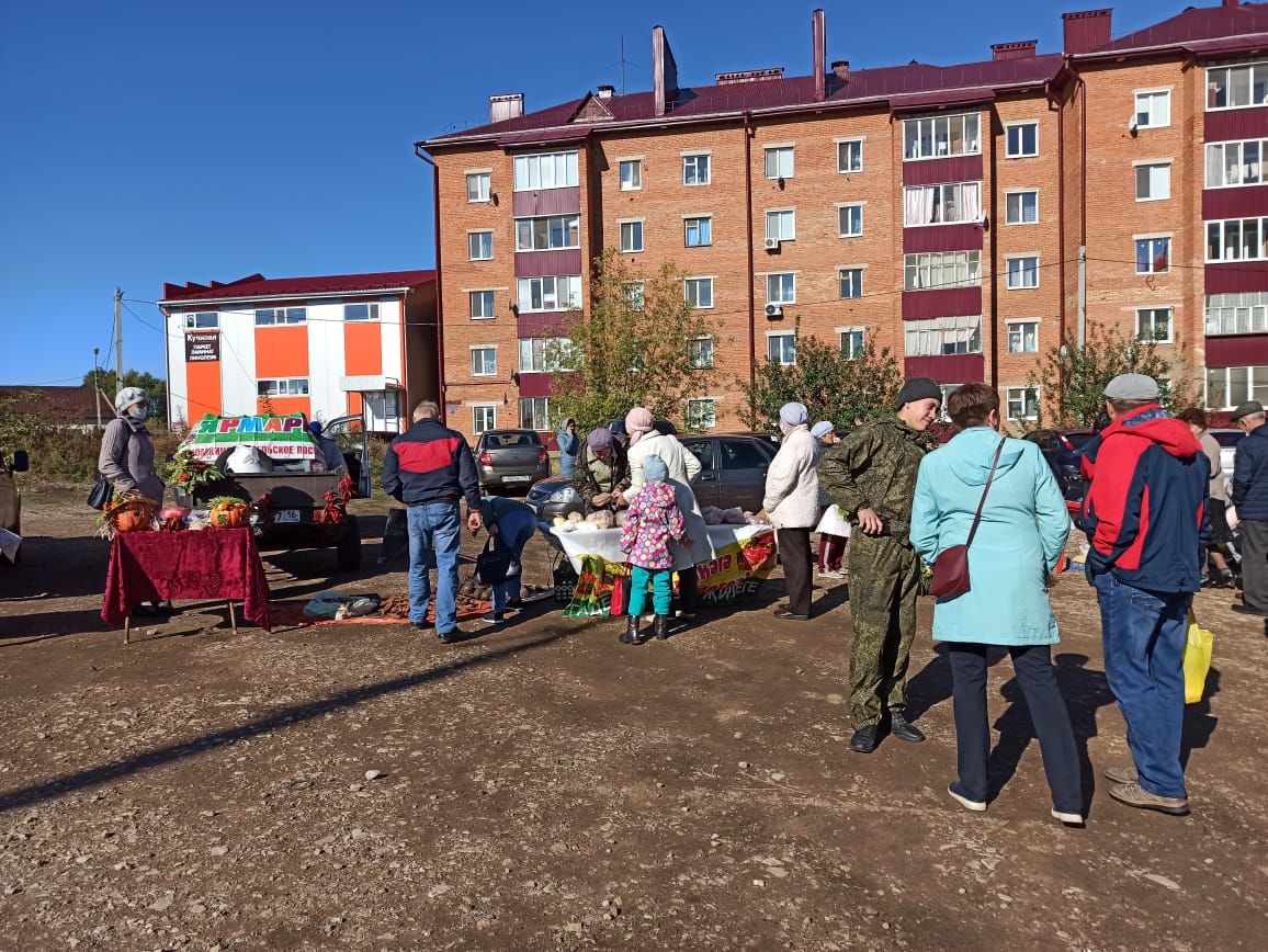 В Чистополе состоялись первые в этом году осенние сельскохозяйственные ярмарки (фоторепортаж)