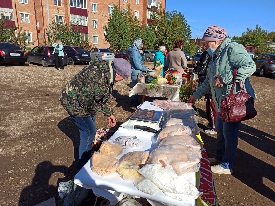 В Чистополе состоялись первые в этом году осенние сельскохозяйственные ярмарки (фоторепортаж)