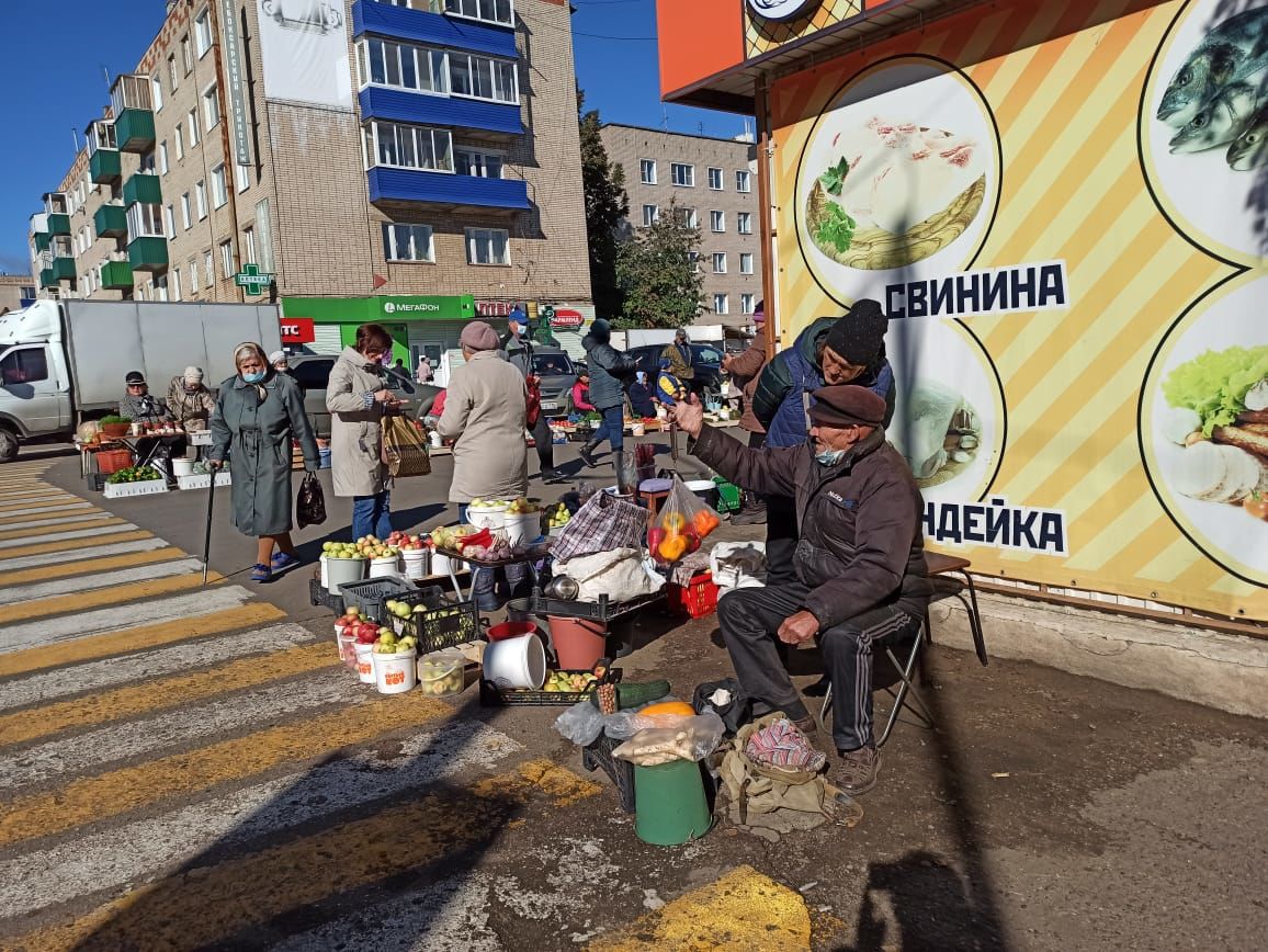 В Чистополе состоялись первые в этом году осенние сельскохозяйственные ярмарки (фоторепортаж)