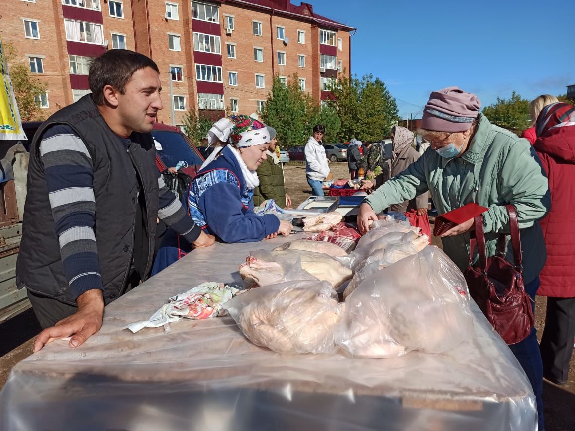 В Чистополе состоялись первые в этом году осенние сельскохозяйственные ярмарки (фоторепортаж)