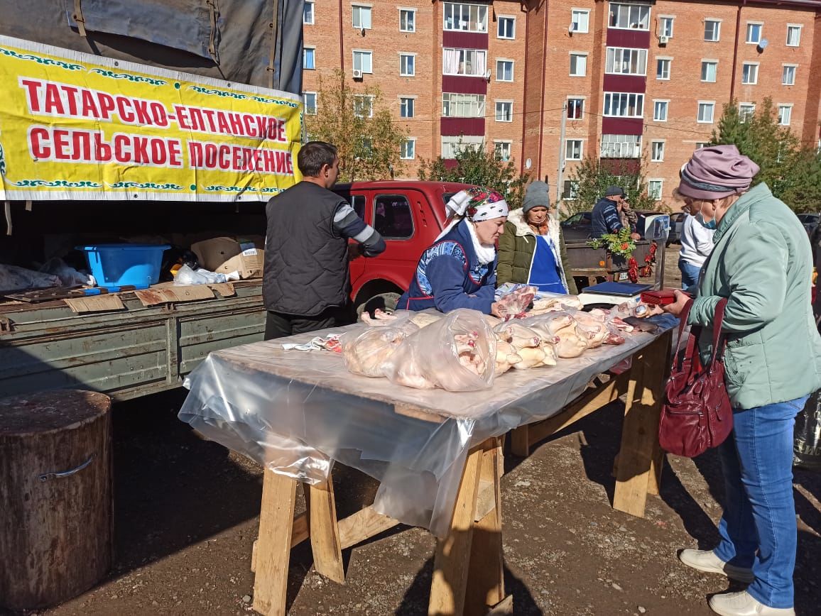 В Чистополе состоялись первые в этом году осенние сельскохозяйственные ярмарки (фоторепортаж)