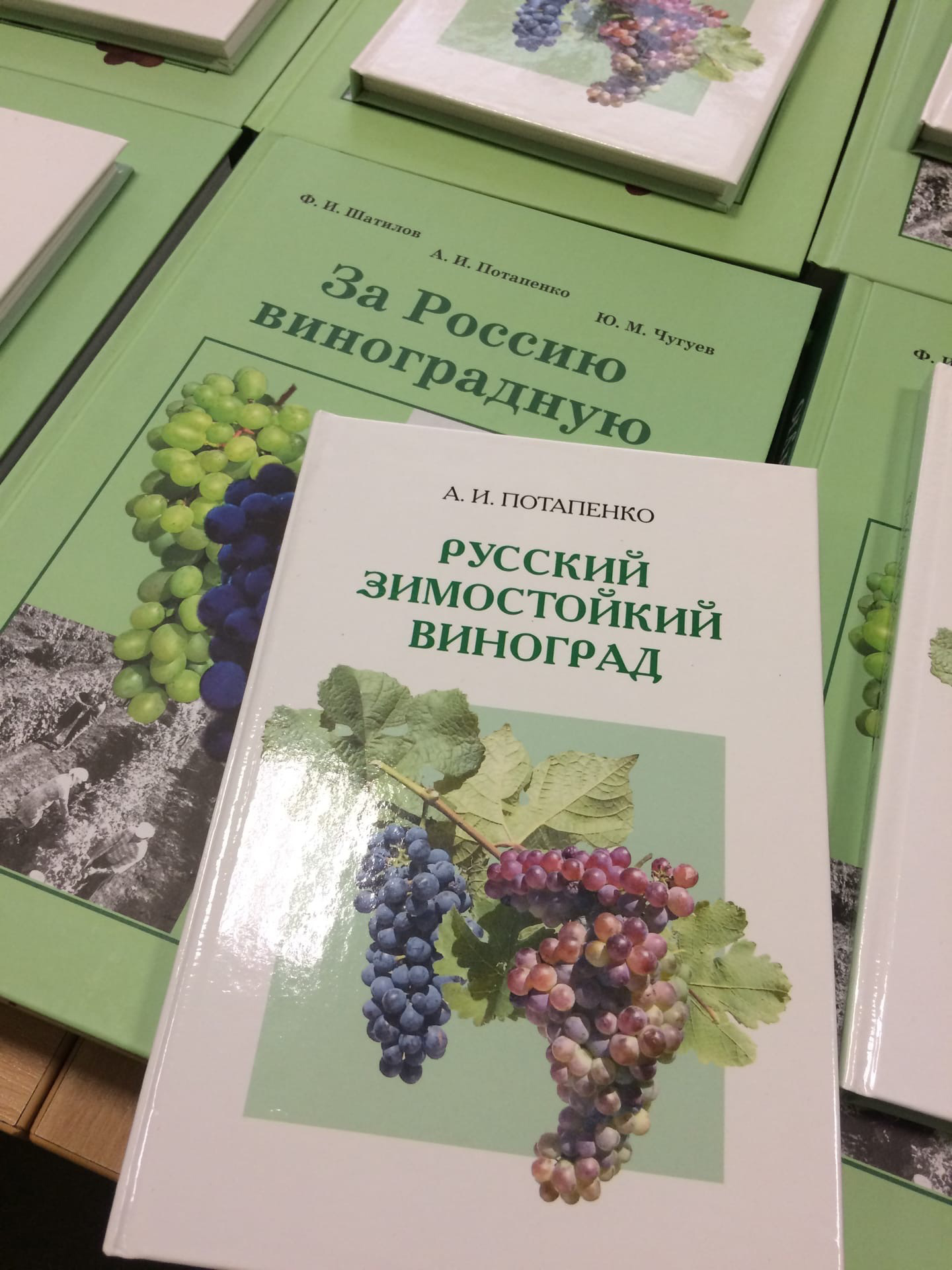 Ценители солнечной ягоды собрались на выставке в Казани