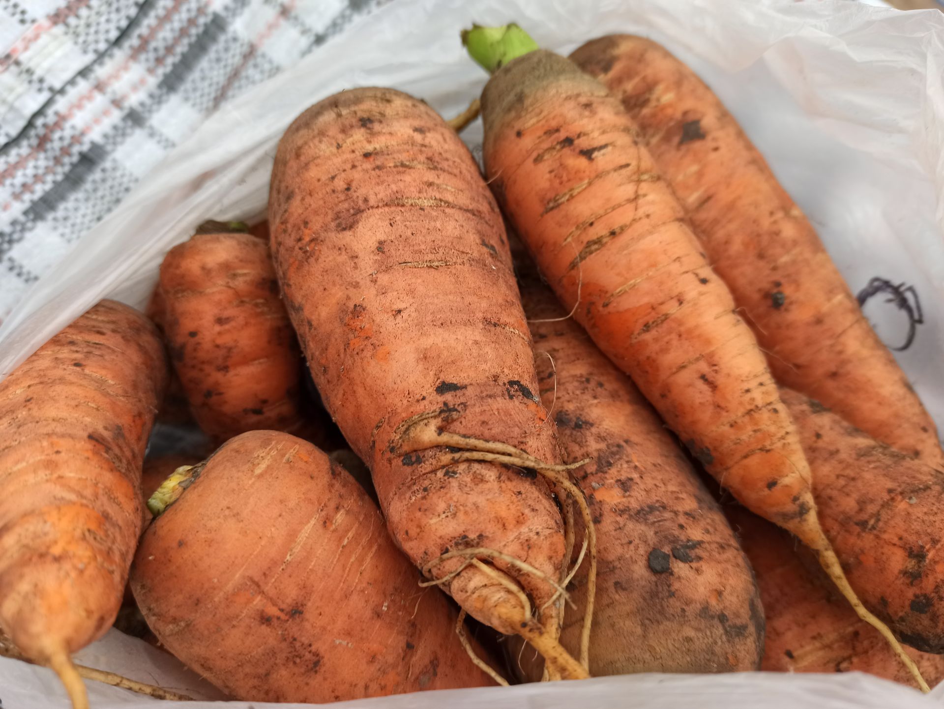 На сельхозярмарке в Чистополе особым спросом пользовались мясо и овощи