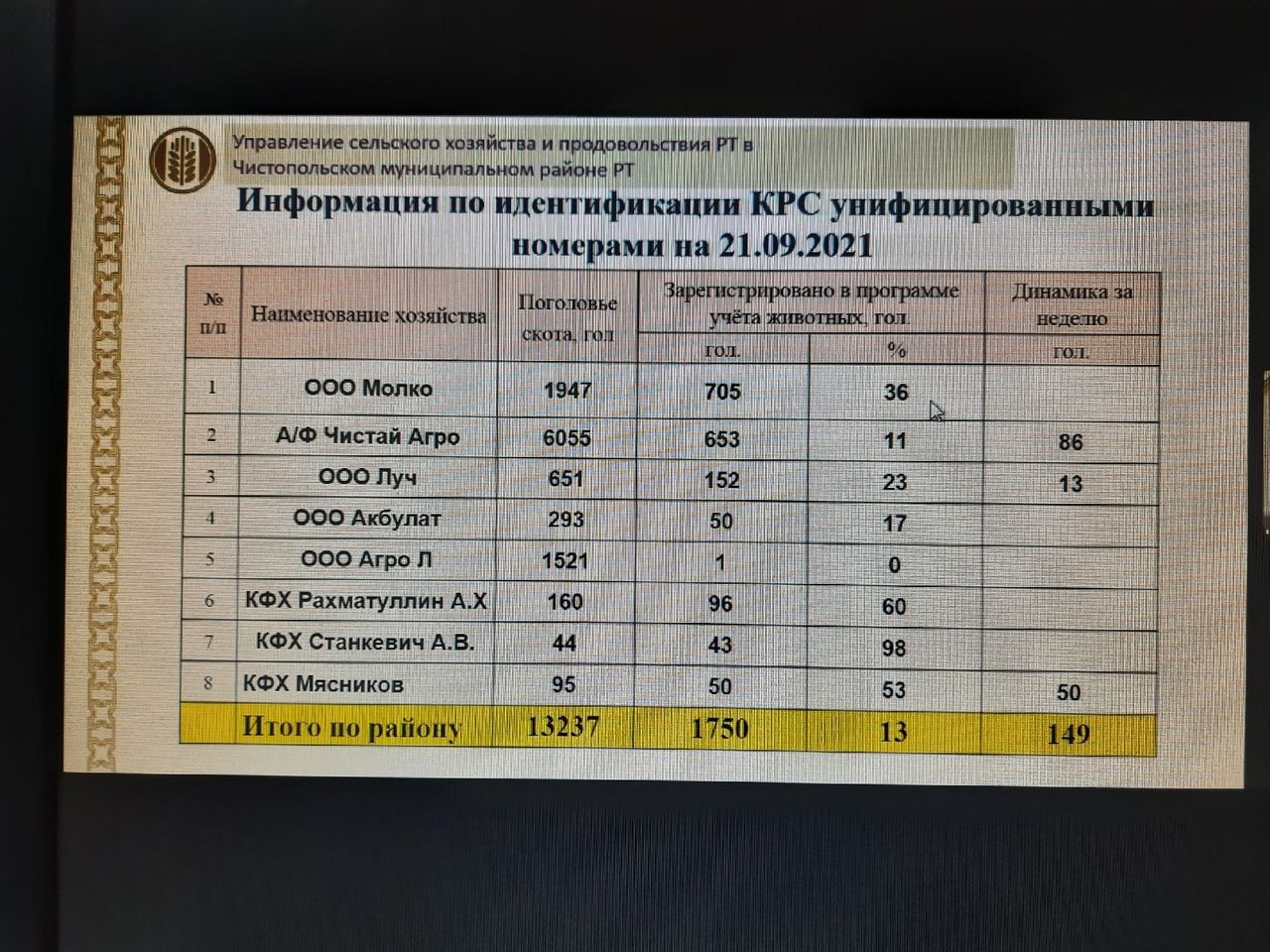 Эдуард Хасанов: «Усилить работу по профилактике ДТП с участием пешеходов»