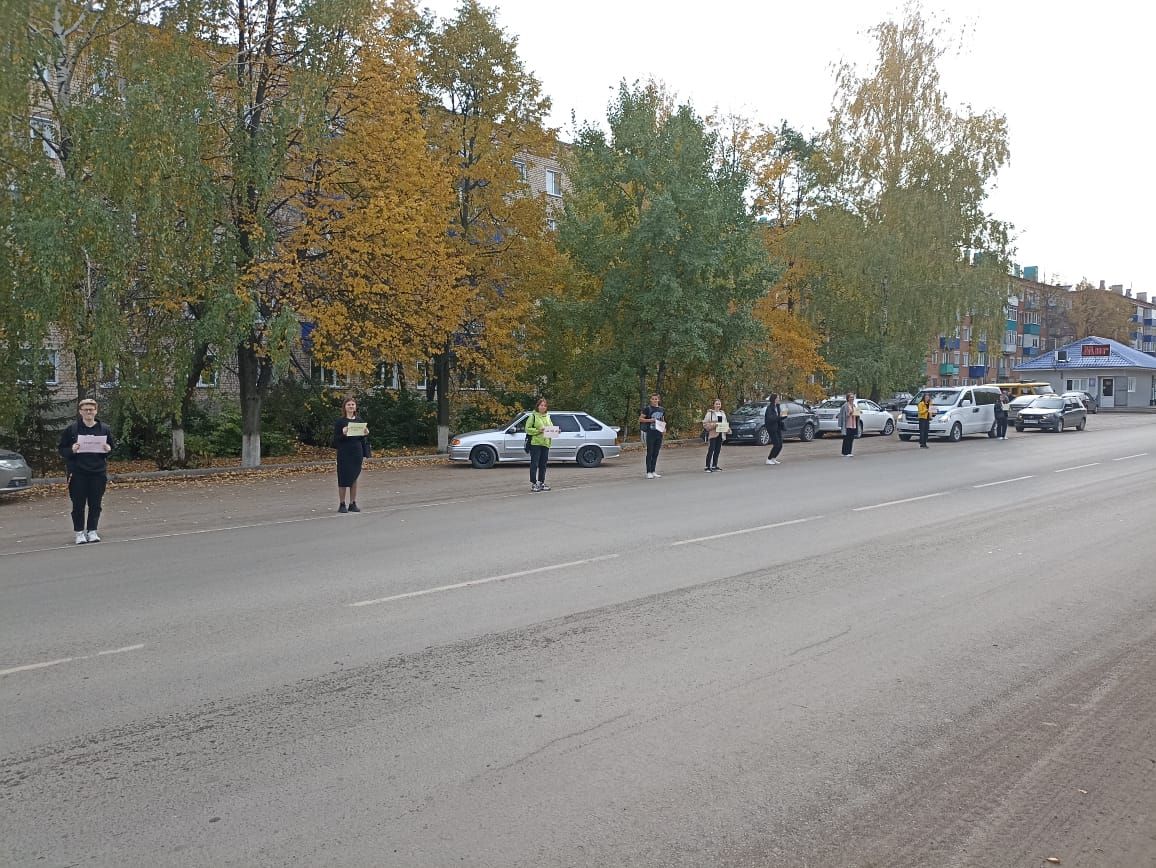 В Чистопольском районе проведена профилактическая акция «Живая стена»