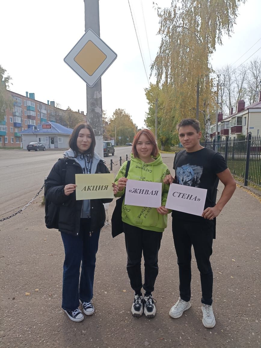 В Чистопольском районе проведена профилактическая акция «Живая стена»