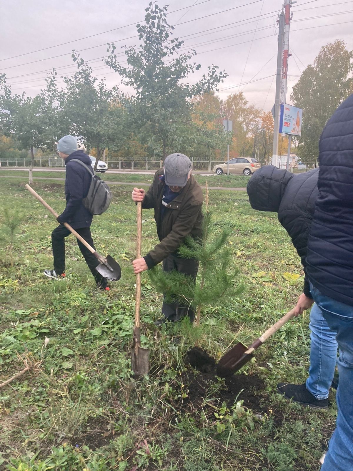 Чистопольцы посадили более 170 молодых деревьев