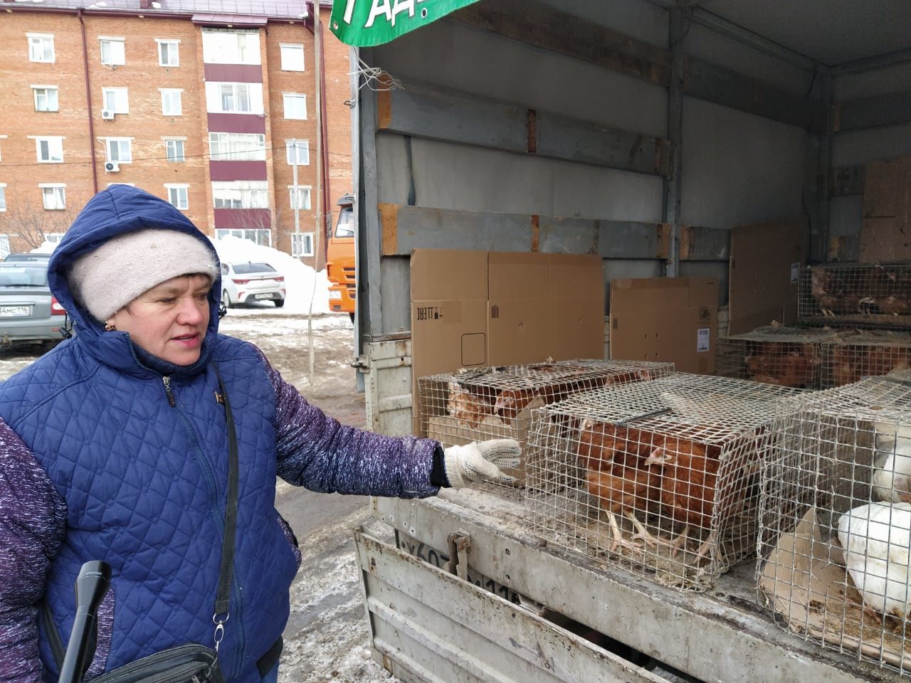 В Чистополе прошла первая весенняя сельскохозяйственная ярмарка