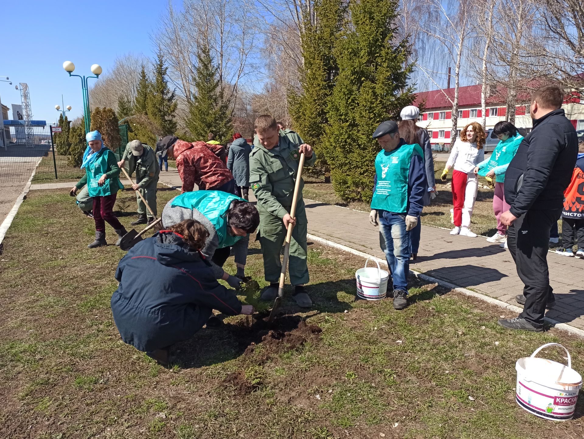 В день рождения природного заказника «Чистые луга» чистопольцы посадили более 30 молодых сосен