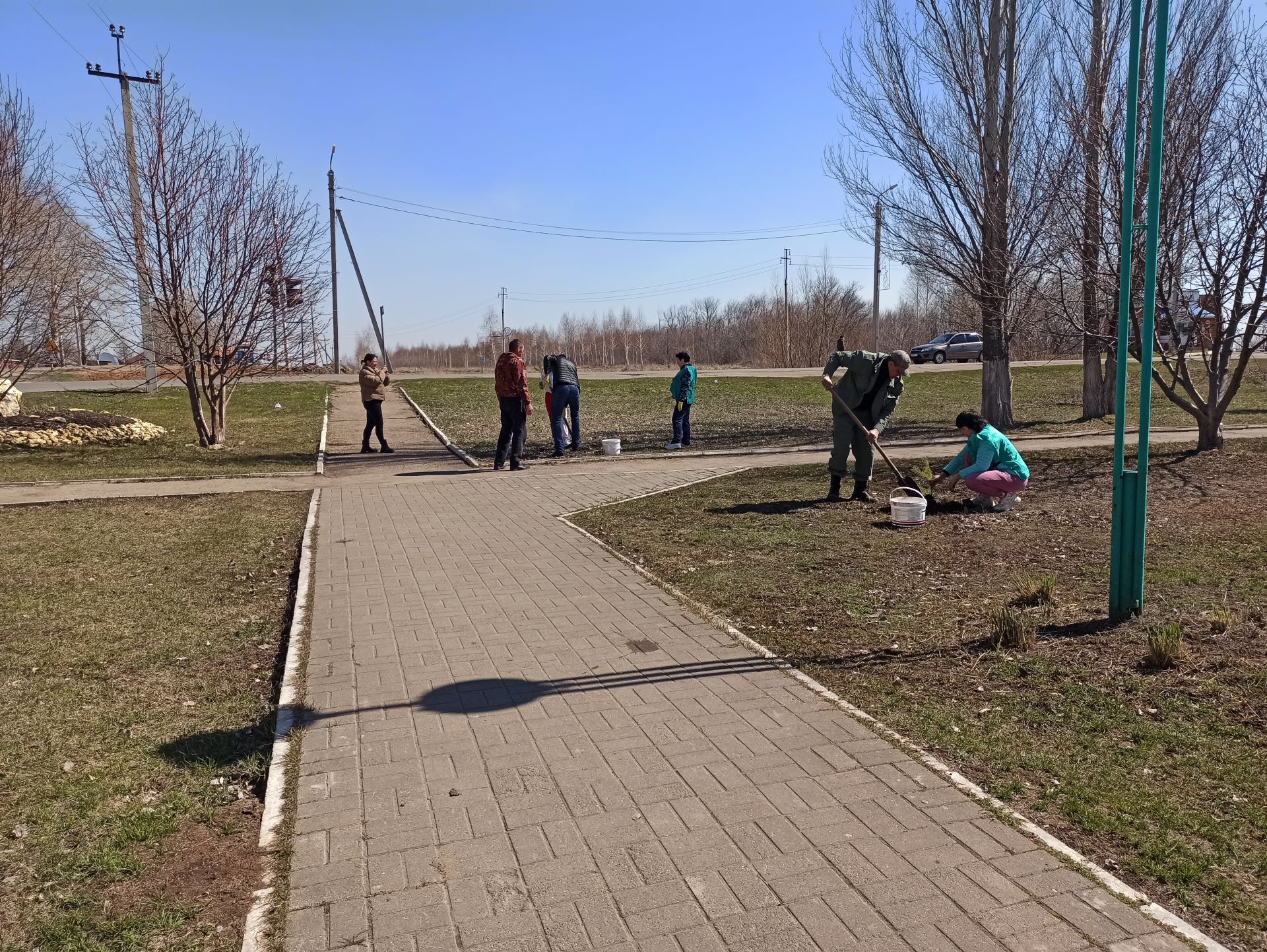 В день рождения природного заказника «Чистые луга» чистопольцы посадили более 30 молодых сосен