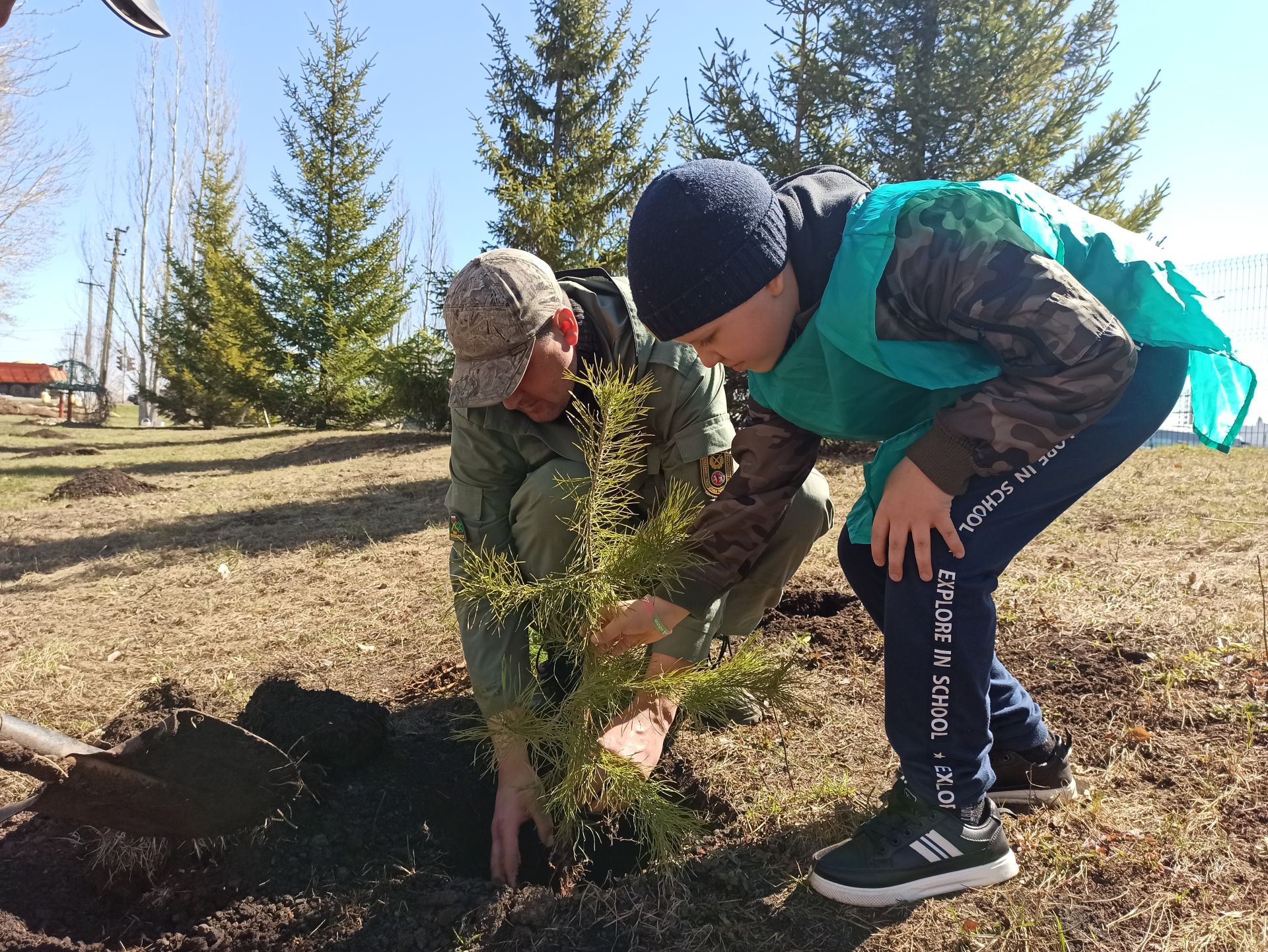 В день рождения природного заказника «Чистые луга» чистопольцы посадили более 30 молодых сосен